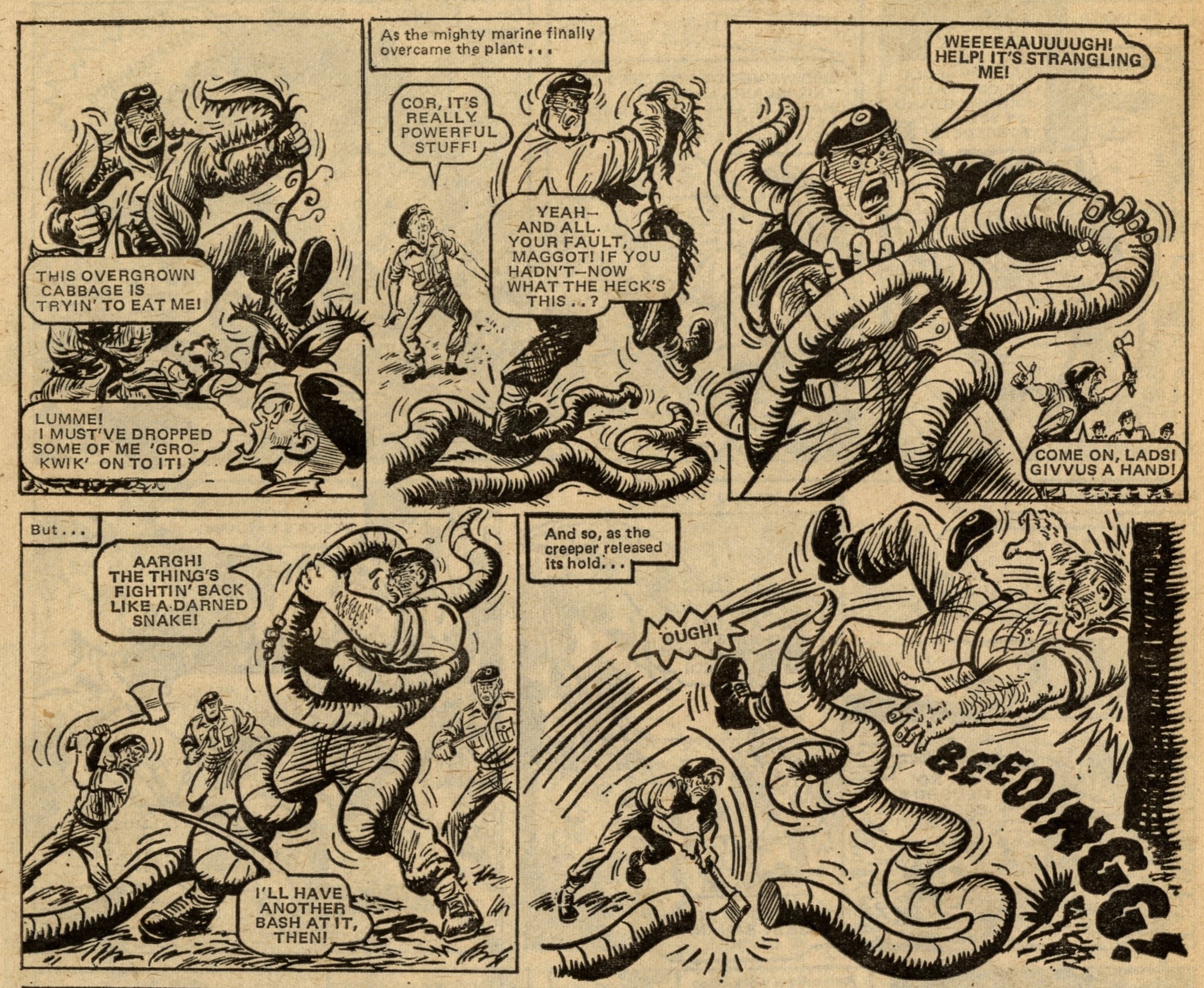 Captain Hurricane: Charles Roylance (artist)