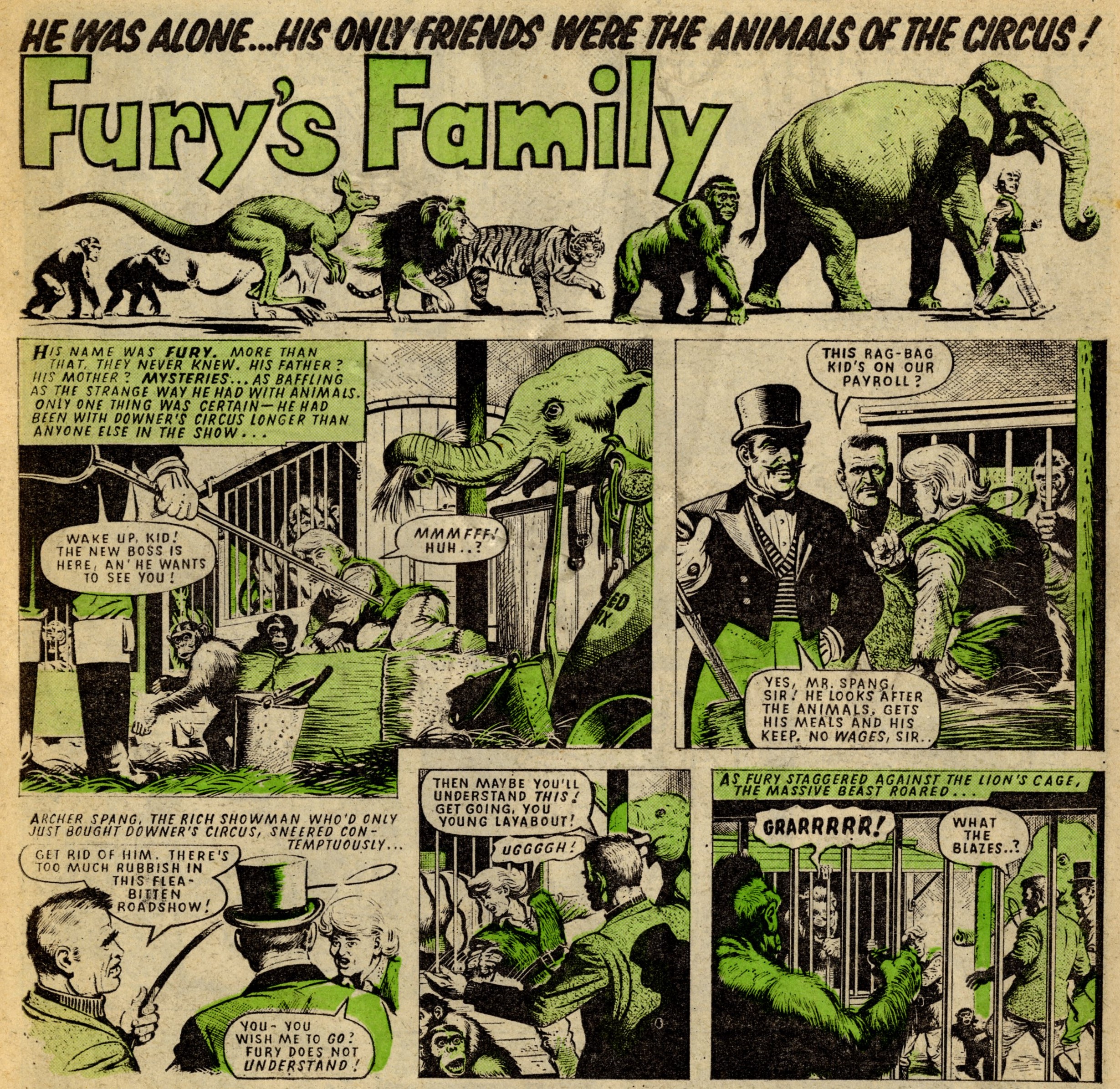 Fury’s Family: Angus Allen (writer), Denis McLoughlin (artist)
