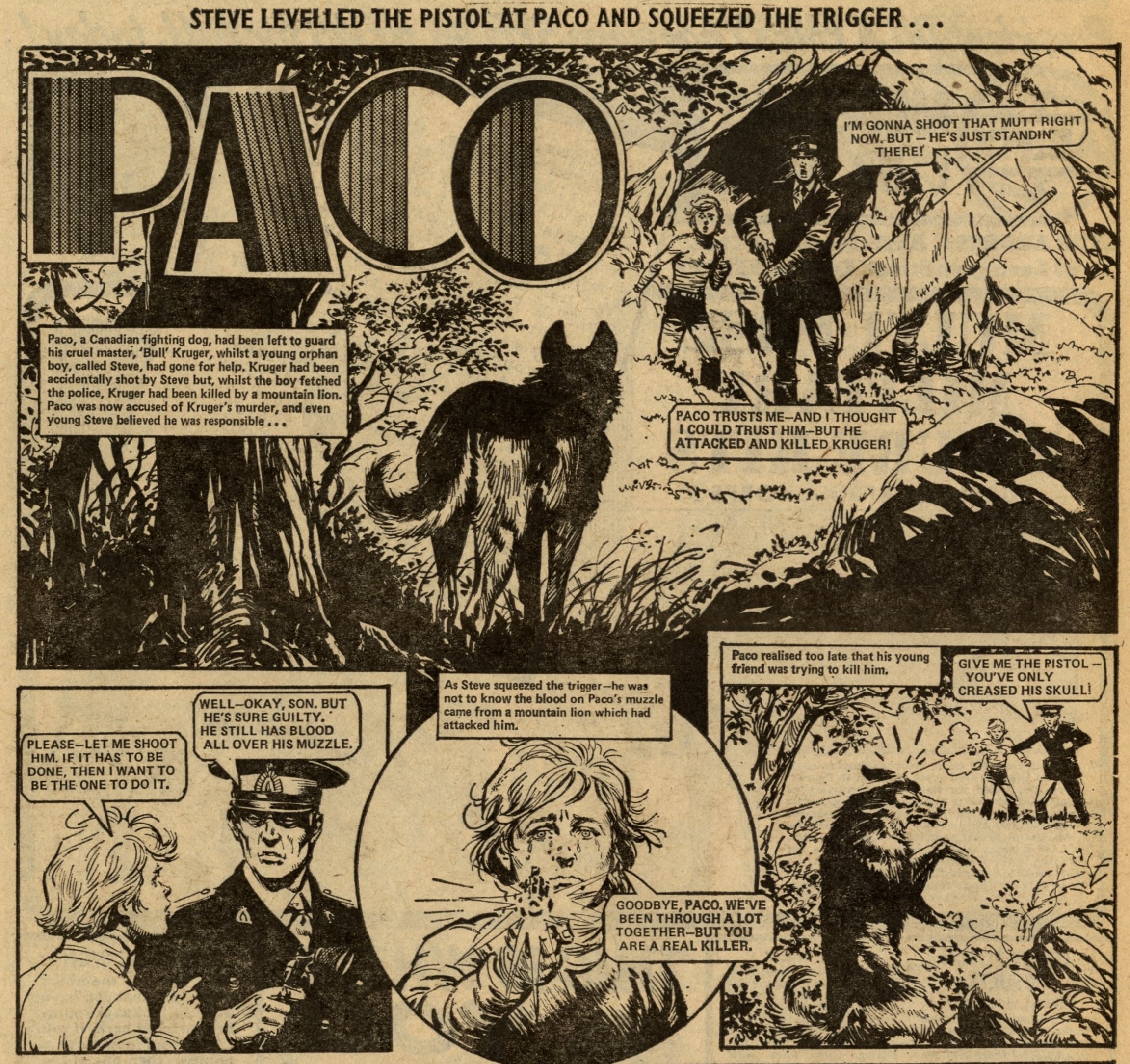 Paco: John Stokes (artist)