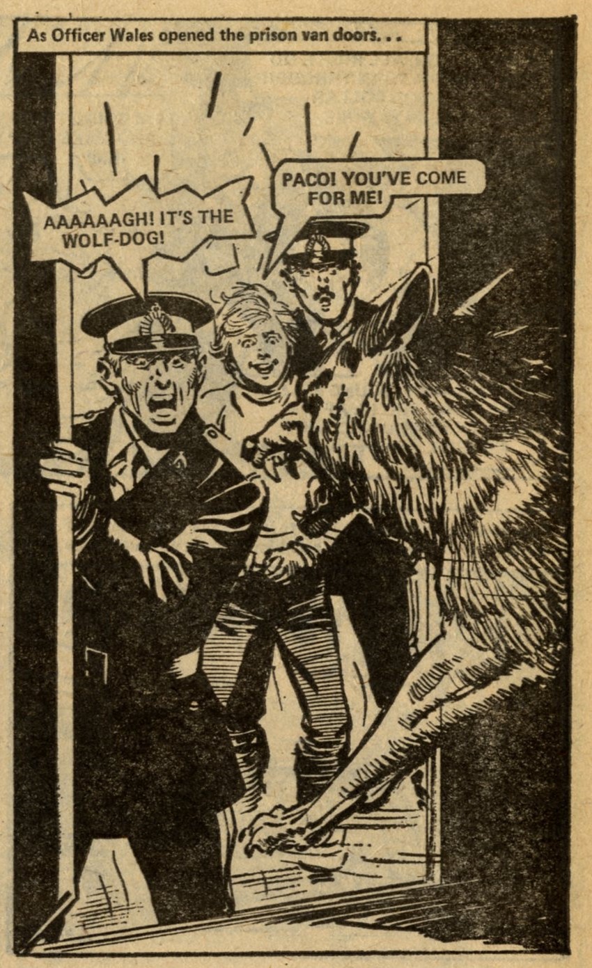 Paco: John Stokes (artist)