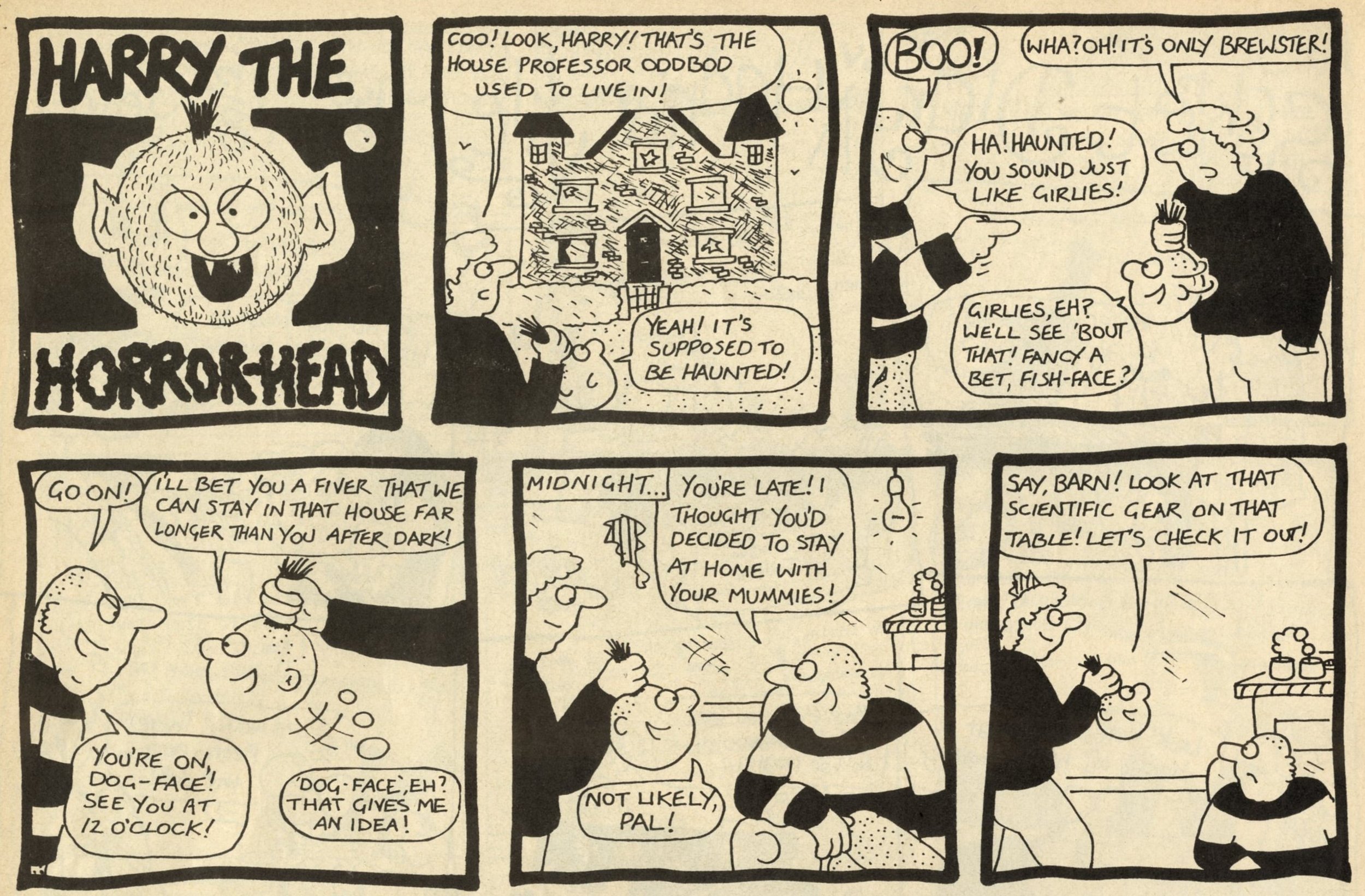 Harry the Head: Marc Riley (artist)