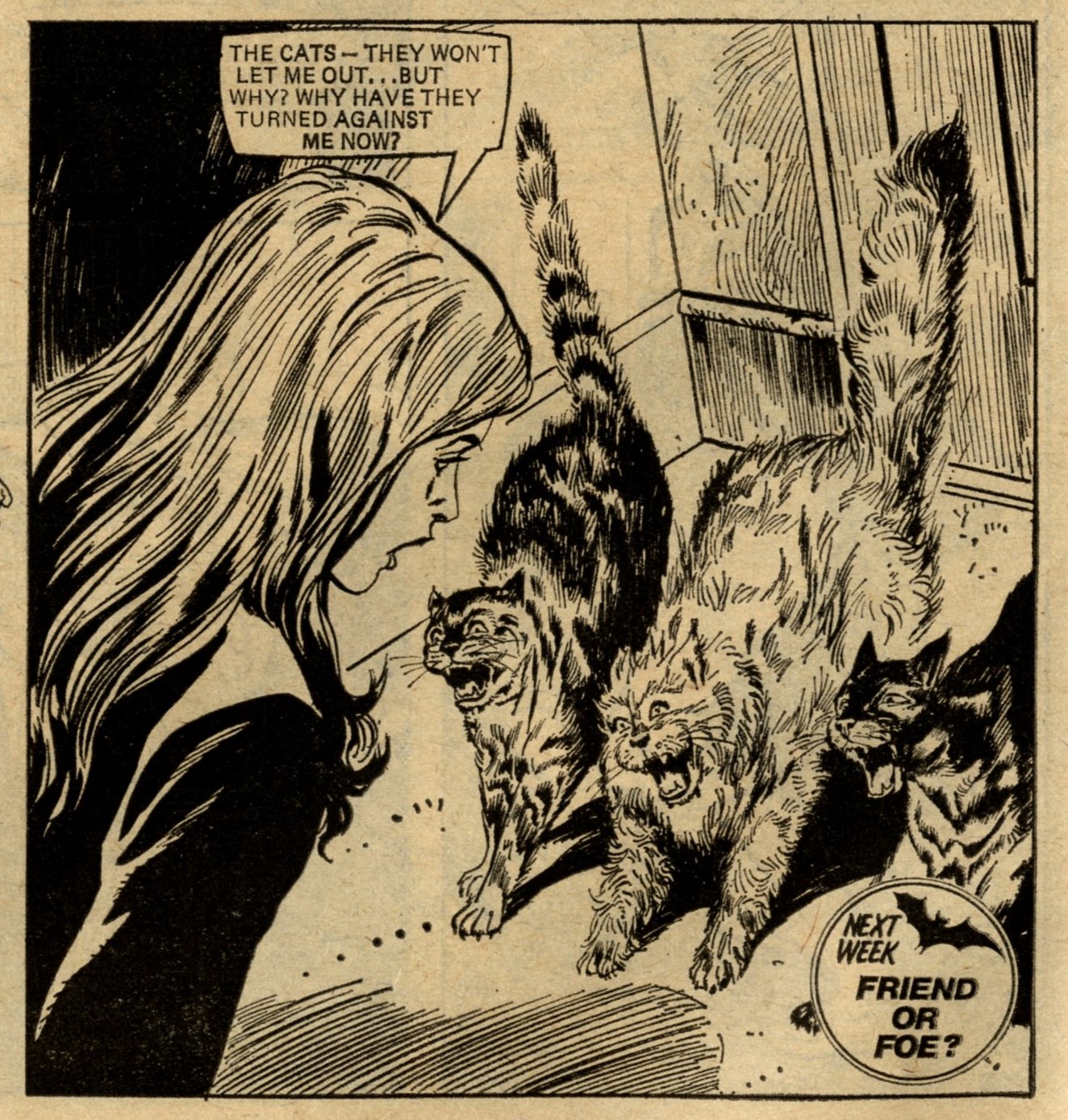 The Cats of Carey Street: Mario Capaldi (artist)
