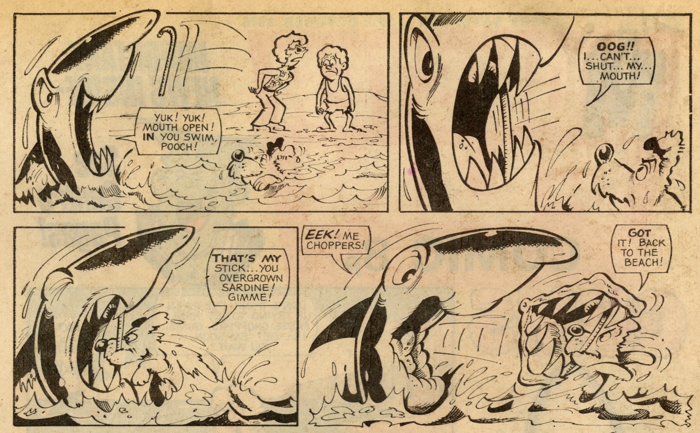 Gums: Alf Saporito (artist)