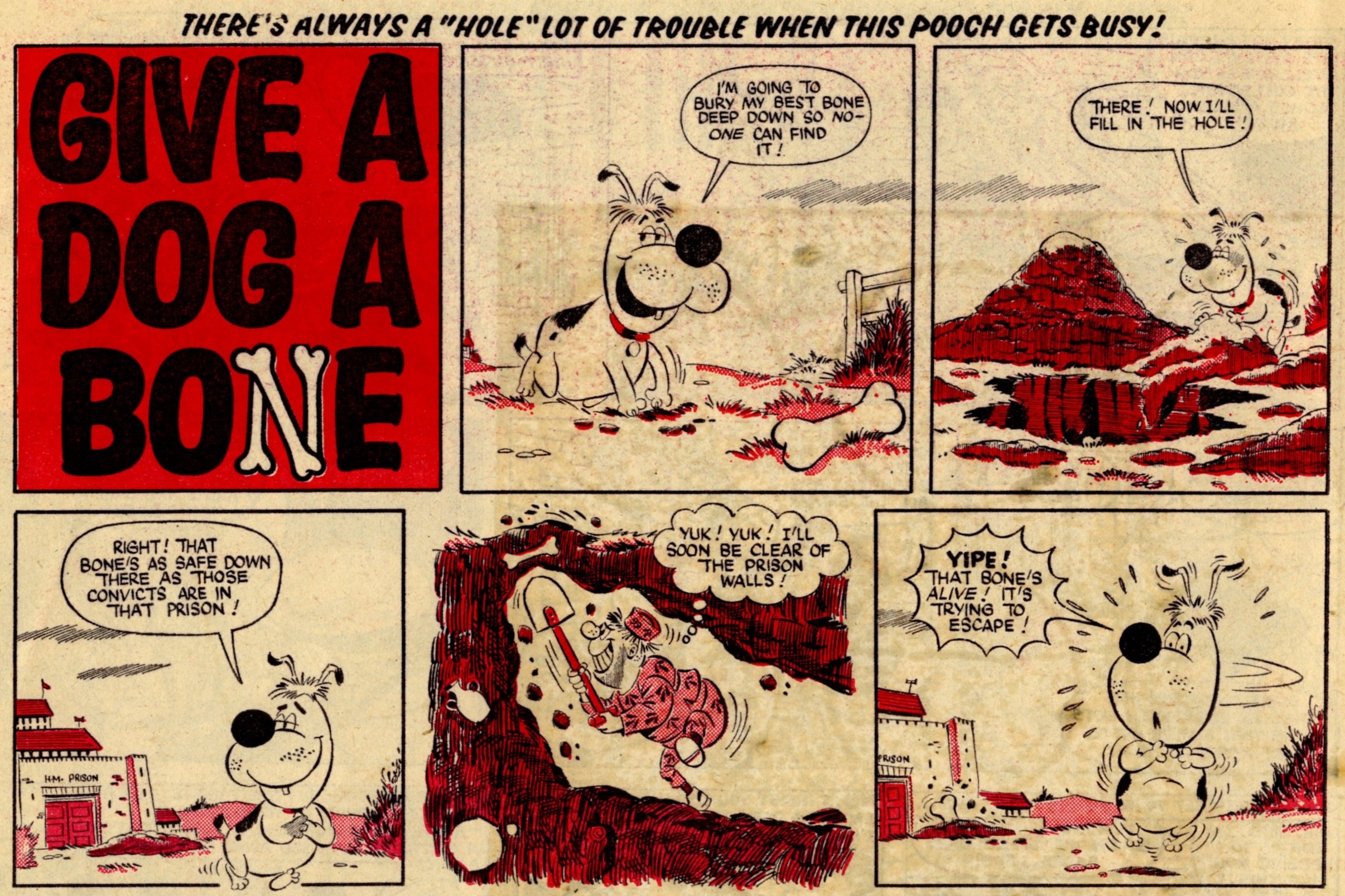 Give a Dog a Bone: Graham Allen (artist)