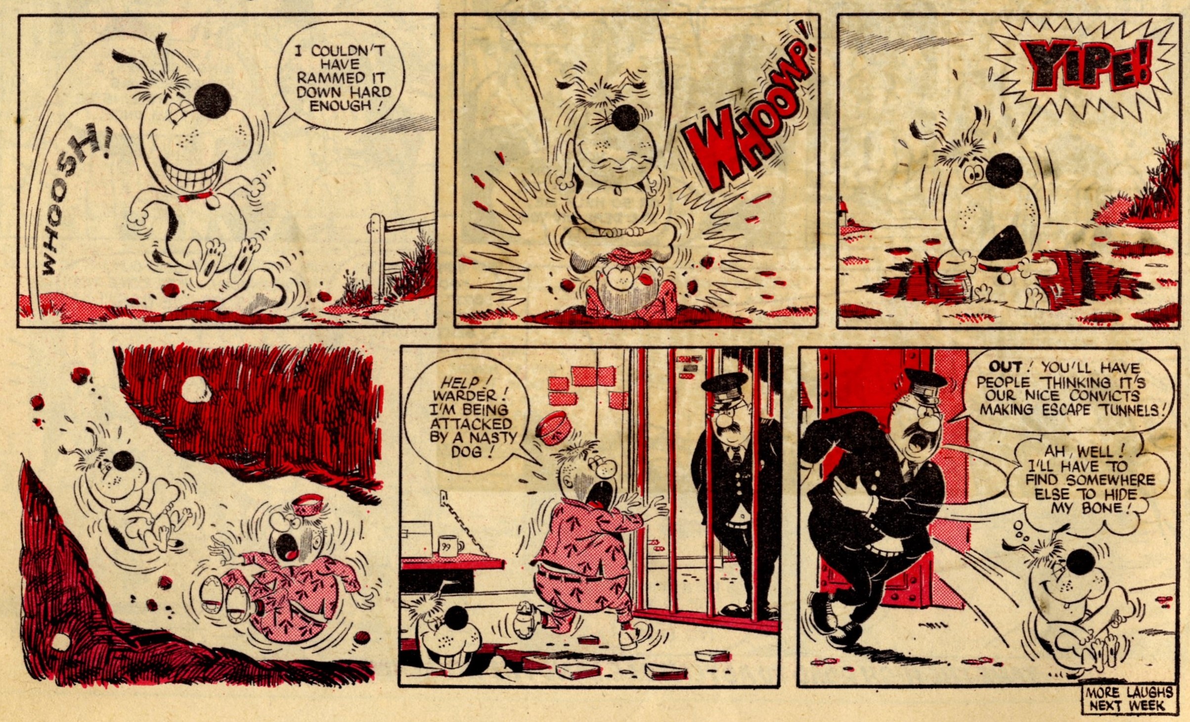 Give a Dog a Bone: Graham Allen (artist)