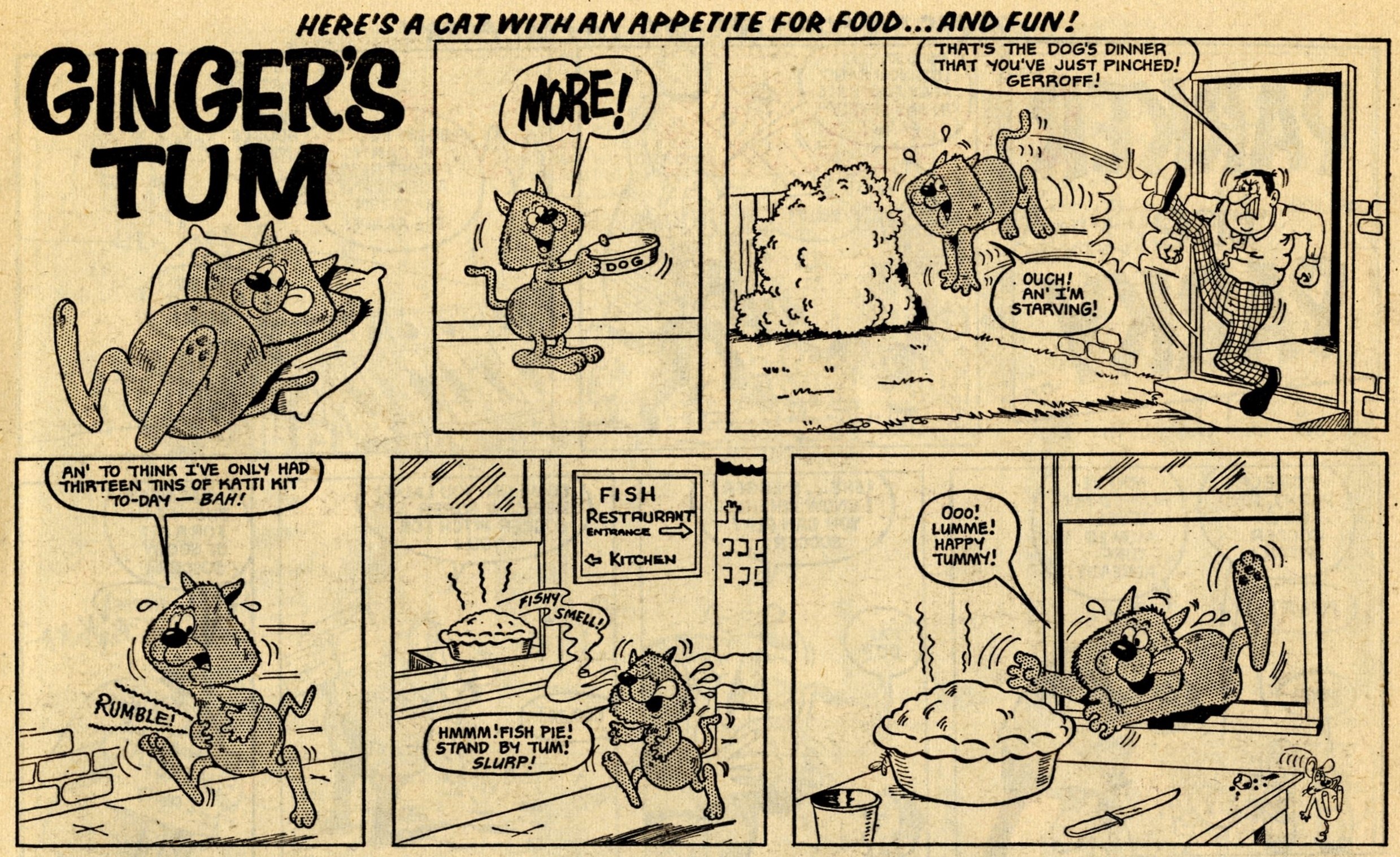 Ginger’s Tum: Terry Bave (artist)