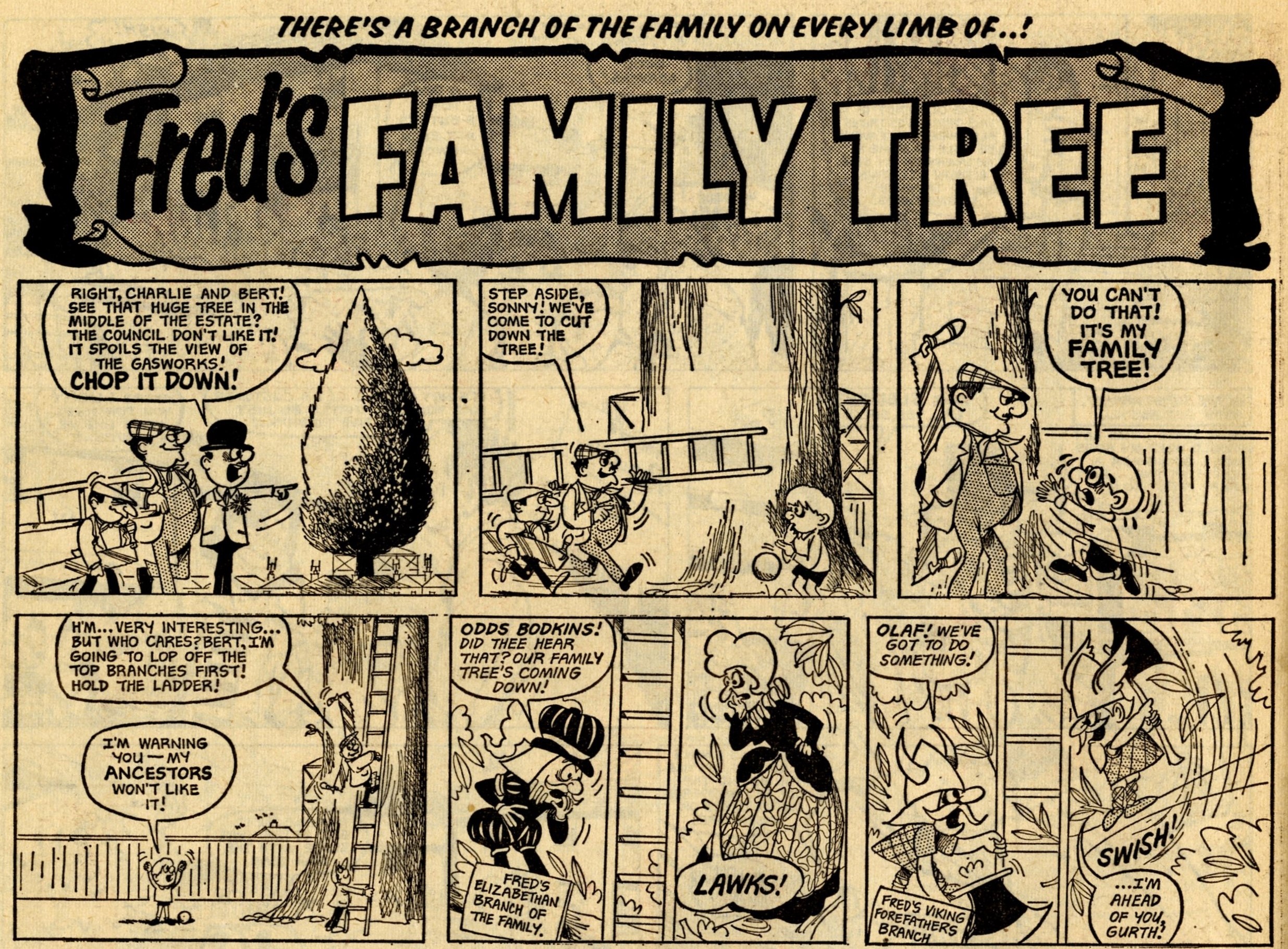 Fred’s Family Tree: Toni Goffe (artist)
