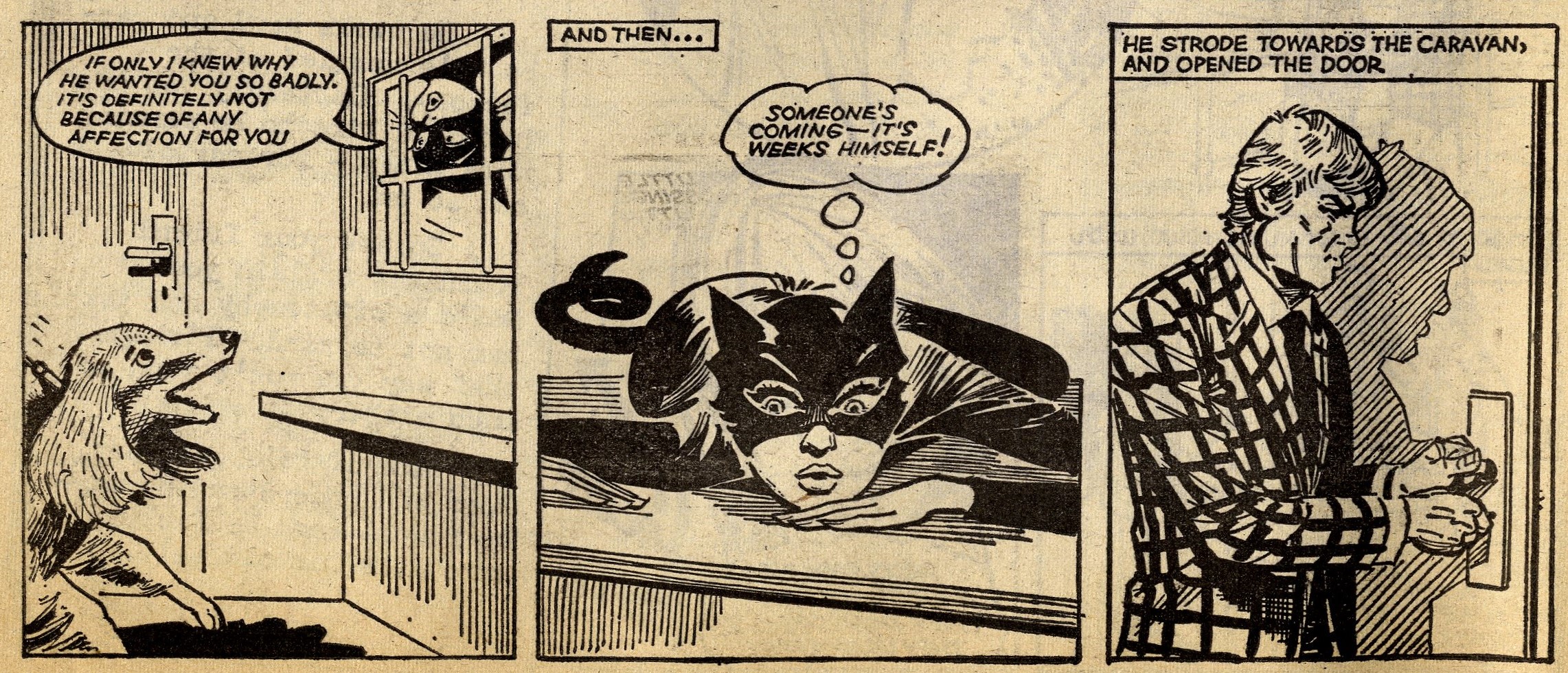 The Cat Girl: Giorgio Giorgetti (artist)