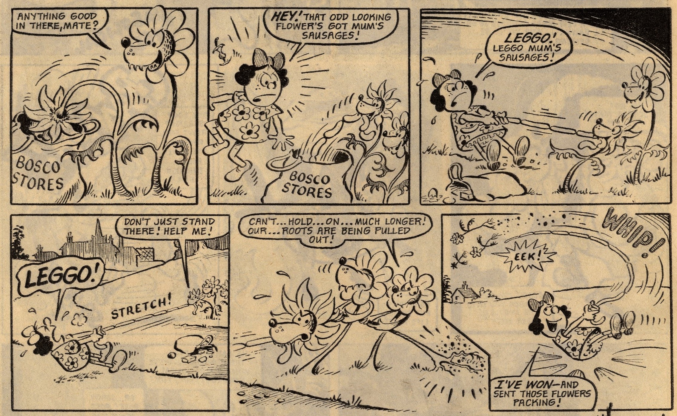 Biddy’s Beastly Bloomers: Sid Burgon (artist)