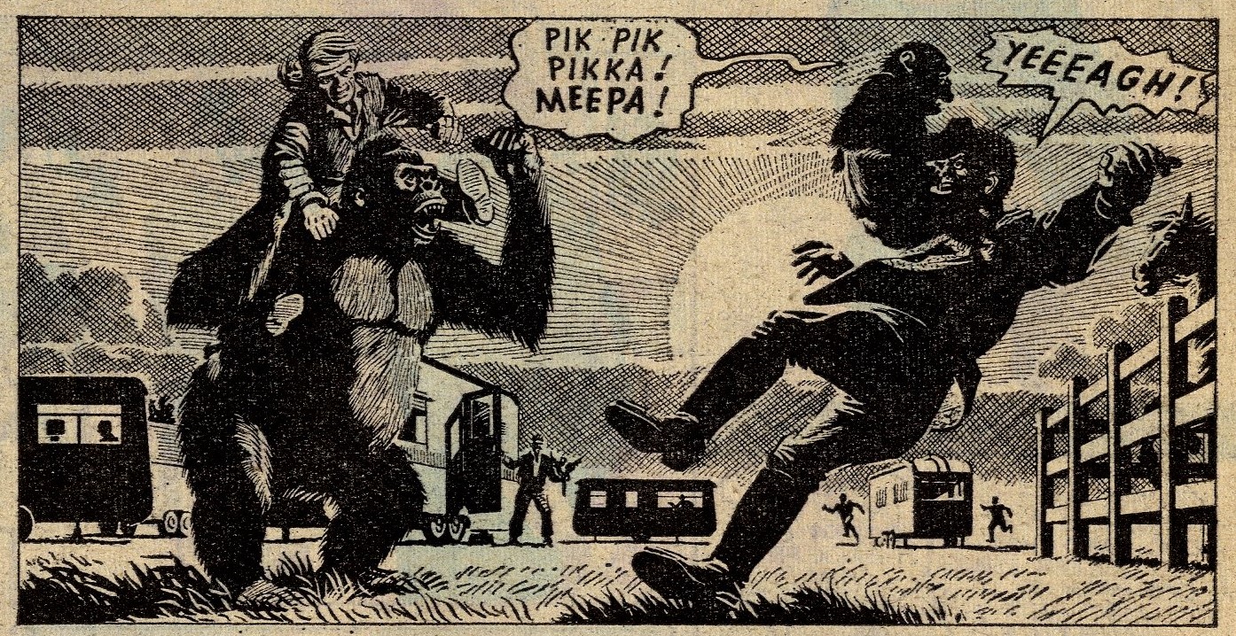 Fury’s Family: Angus Allen (writer), Denis McLoughlin (artist)