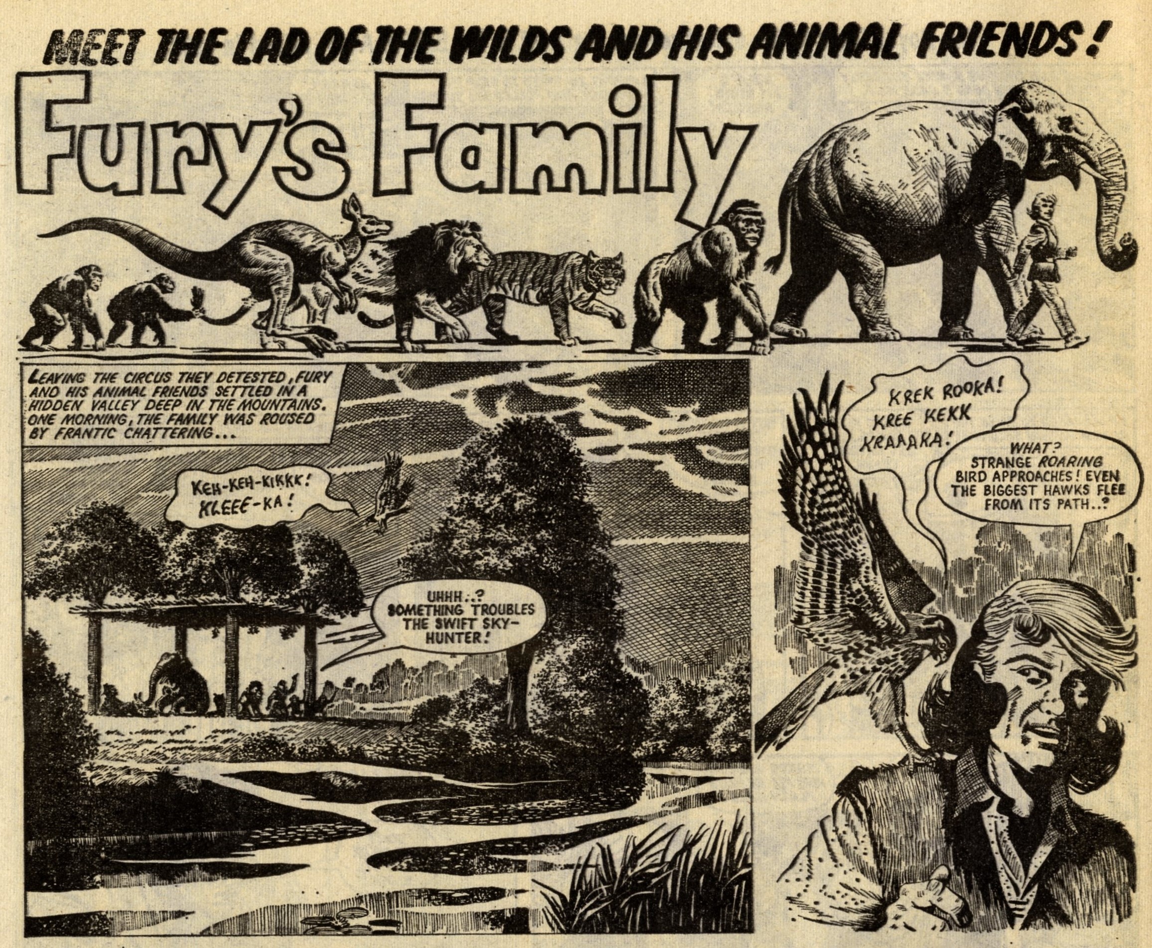 Fury’s Family: Angus Allen (writer), Denis McLoughlin (artist)