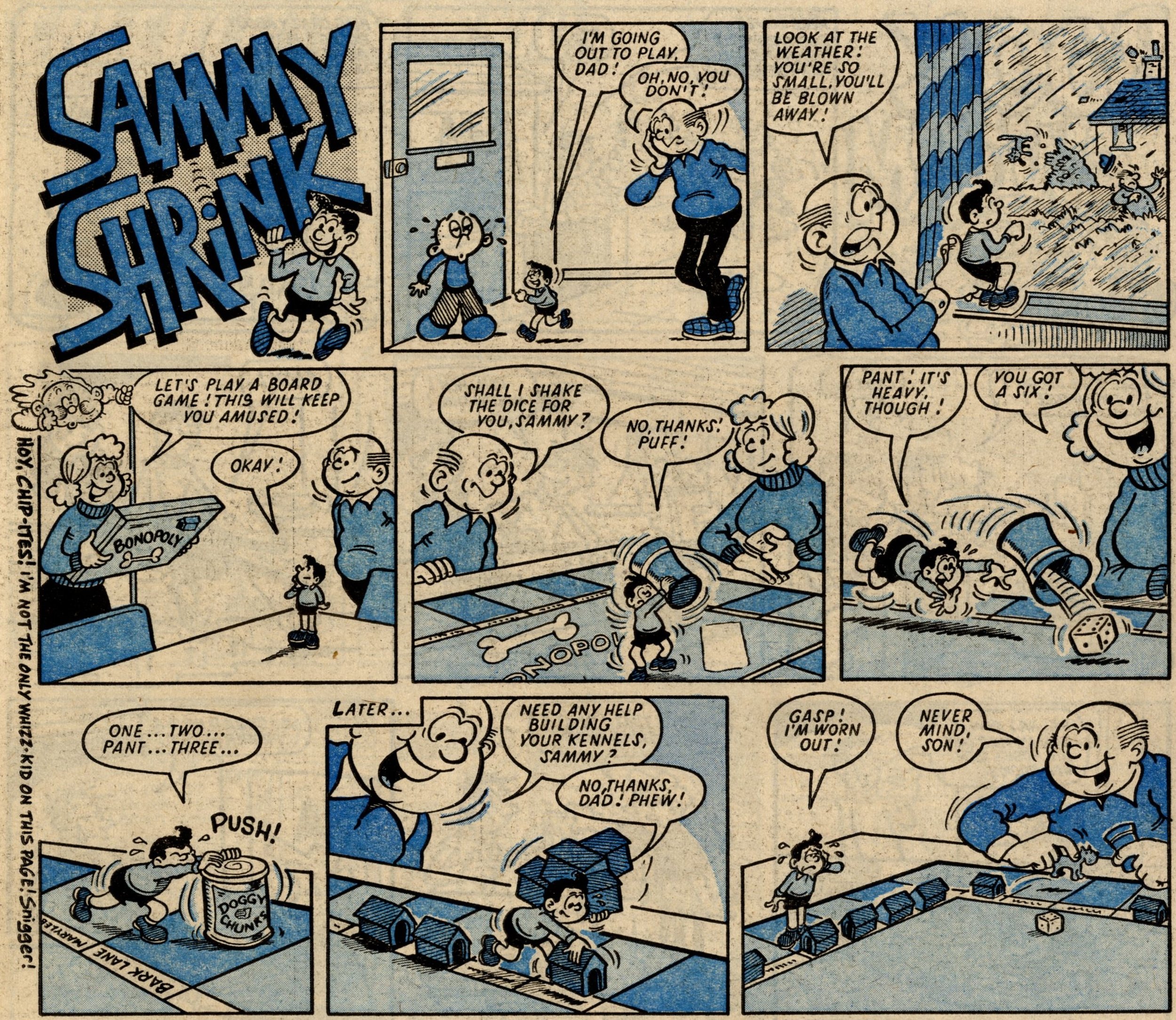 Sammy Shrink: Terry Bave (artist)