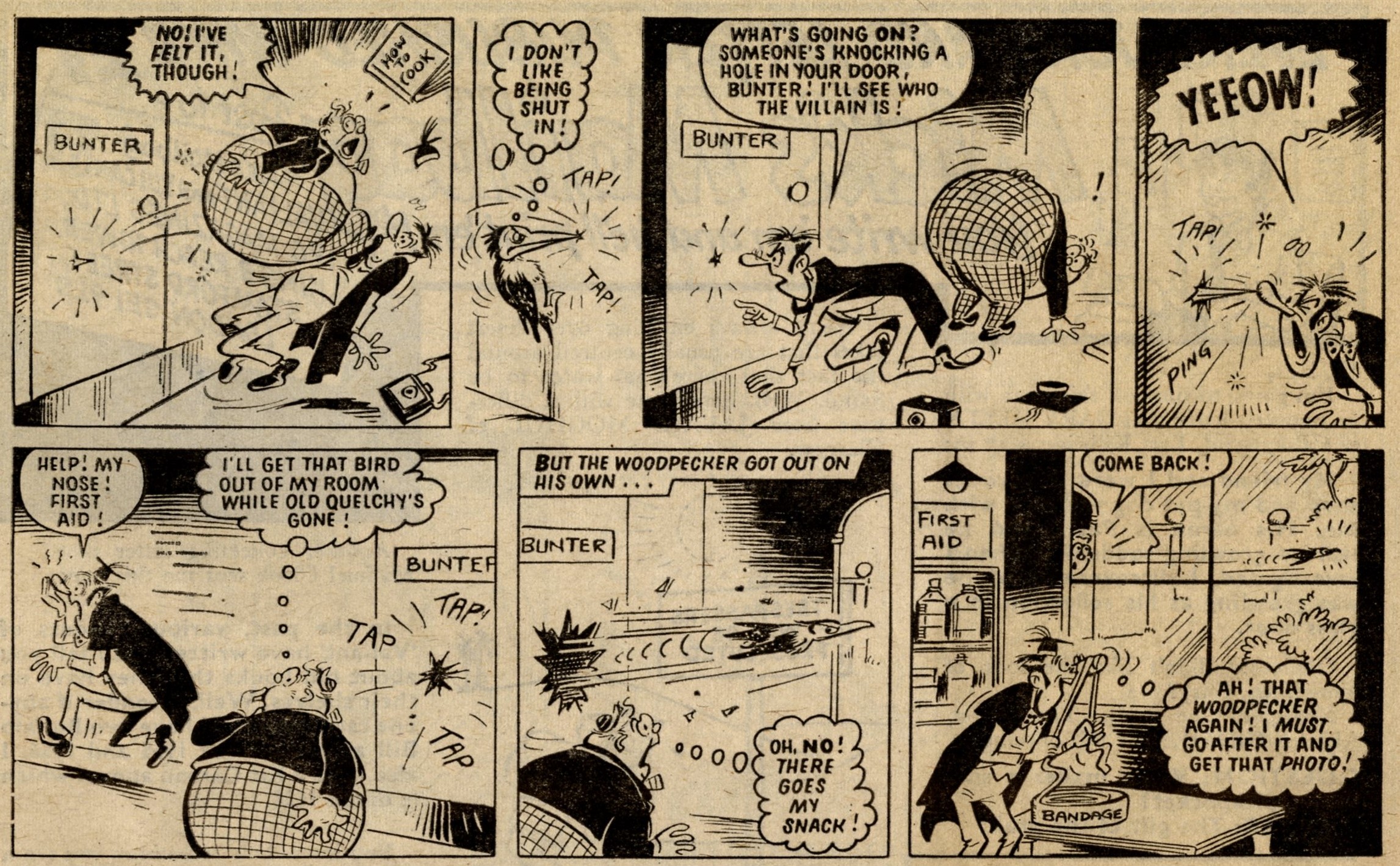 Billy Bunter: Reg Parlett (artist)