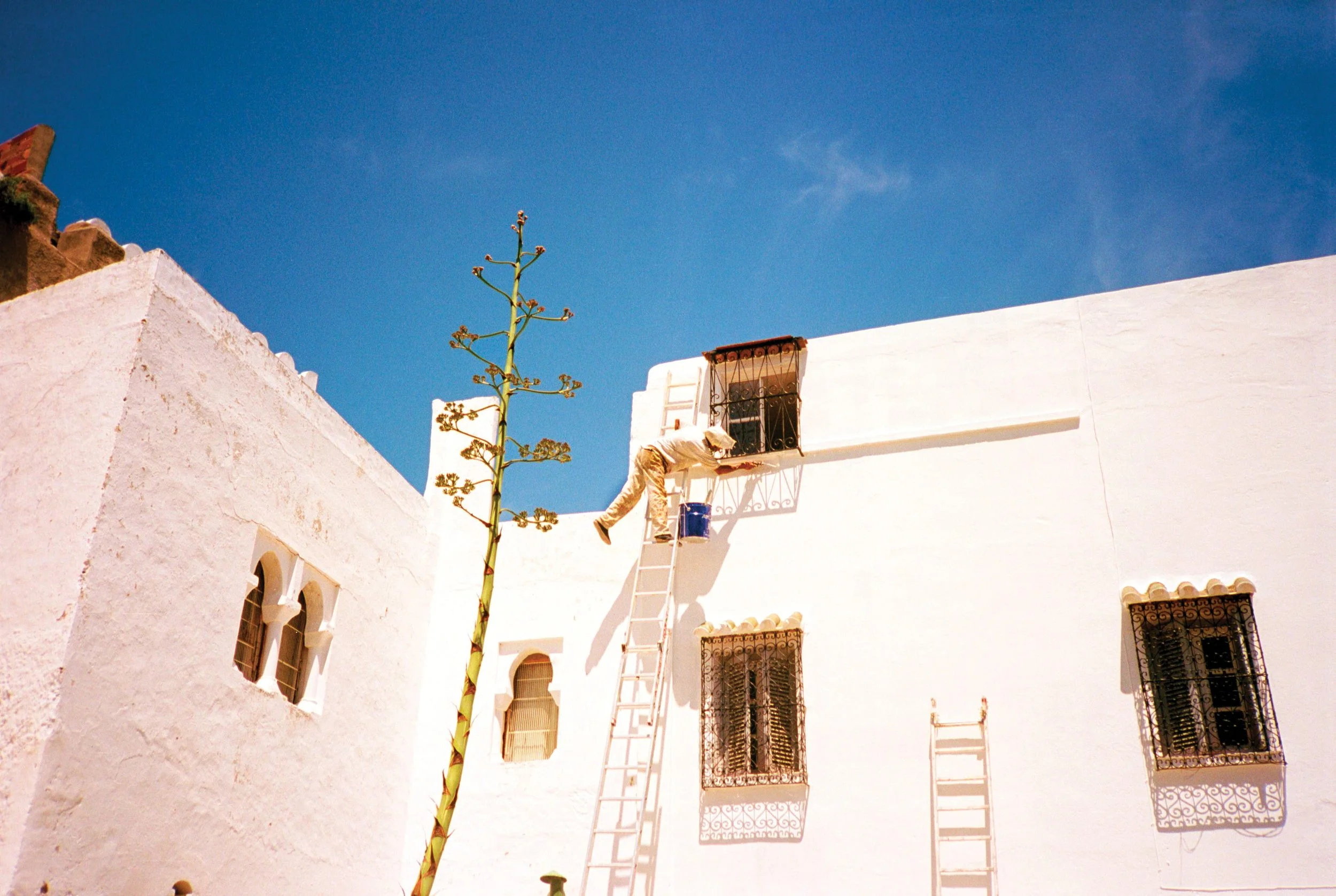 Untitled-(55).jpg