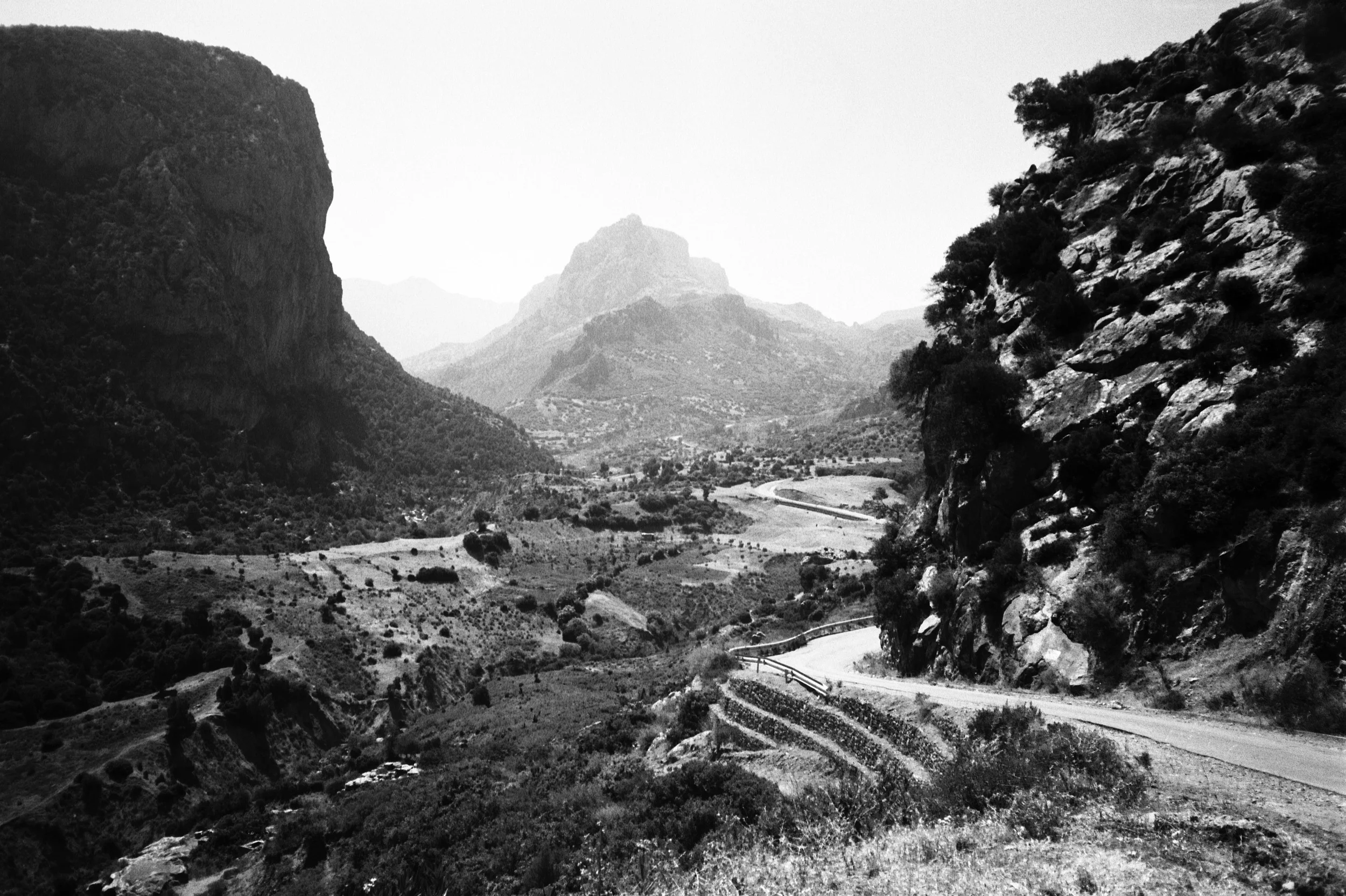 Untitled-(79).jpg