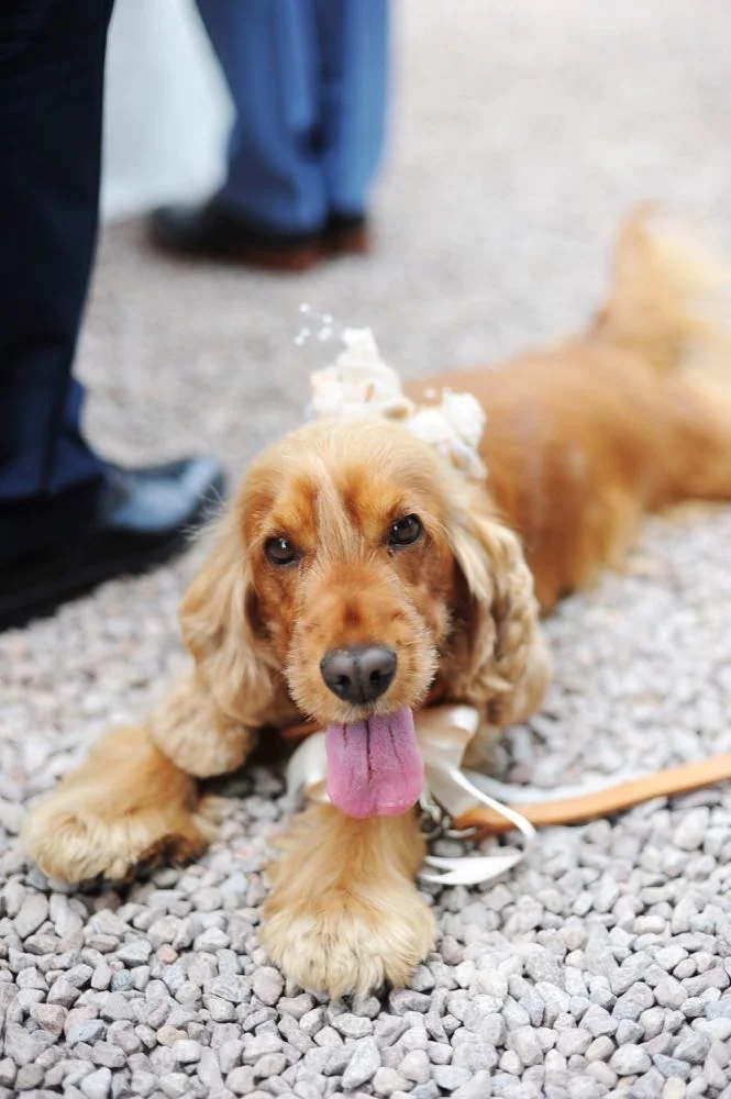 3. Groups_292small.JPEG