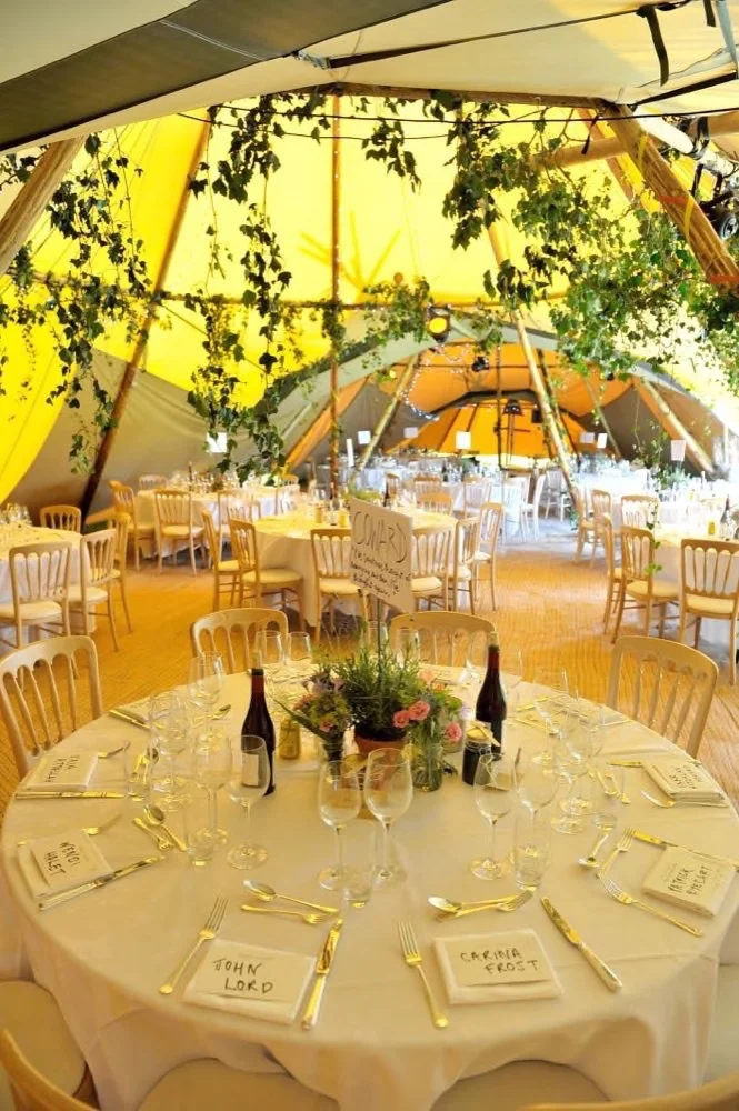 4. Tipi450small.JPEG