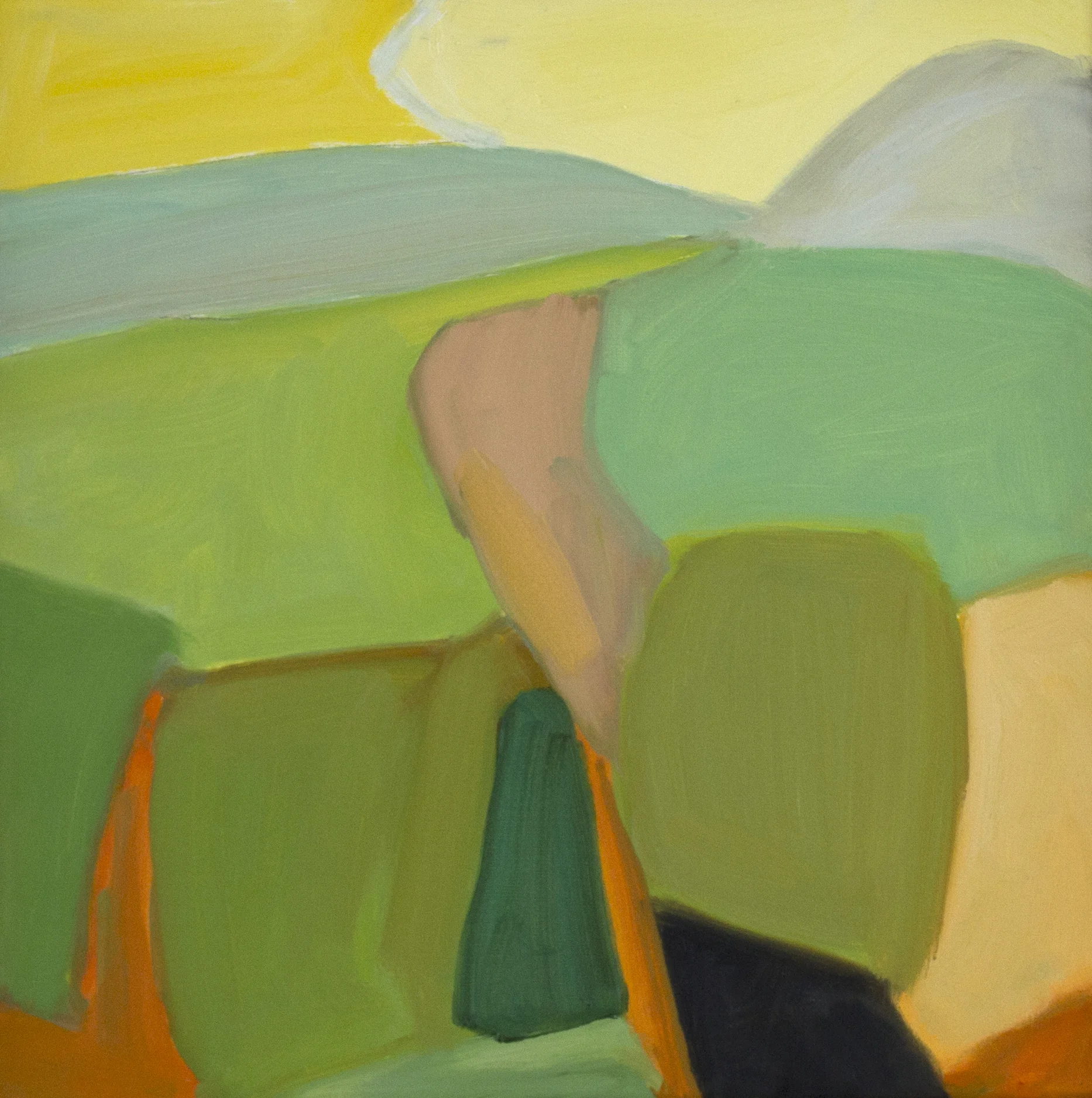 Ballinglen Color FIeld Memory.jpg