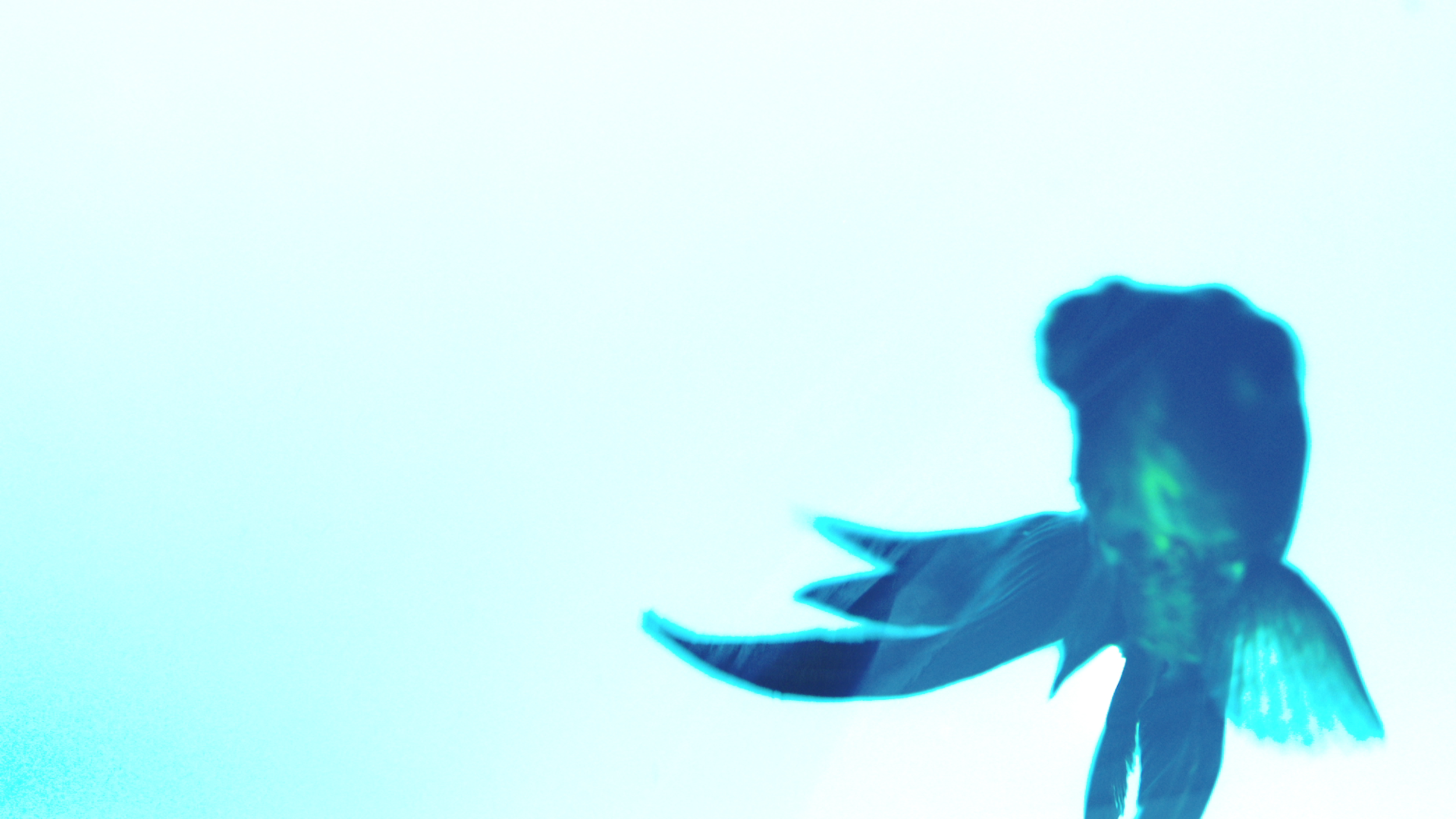 Screen Shot 2019-03-28 at 16.26.55.png