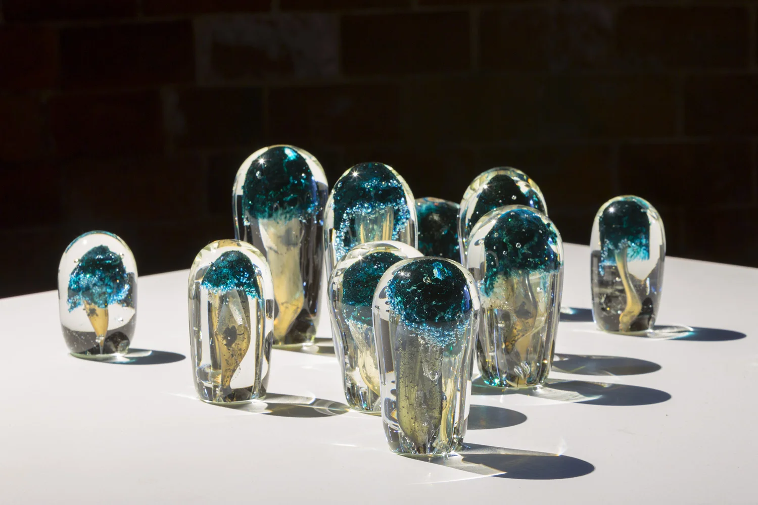 Collaboration with Emilie Patteson, Mushrooms, hot-sculpted glass with mushroom and copper inclusions, 2014, (photo by Adam McGrath), Canberra Glassworks GLINT exhibition install