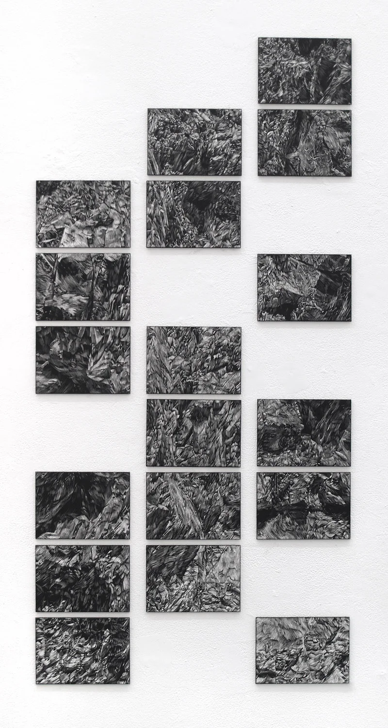 Canyon Variation, scratchboard, dimensions variable, 2012