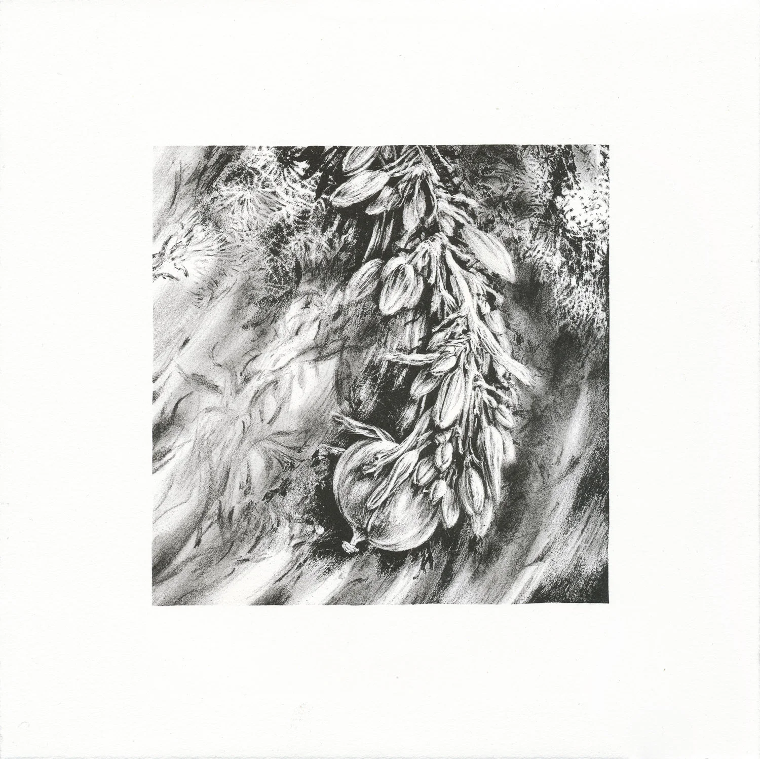 Sway, lithograph, 26 x 26 cm, edition of 8, 2012