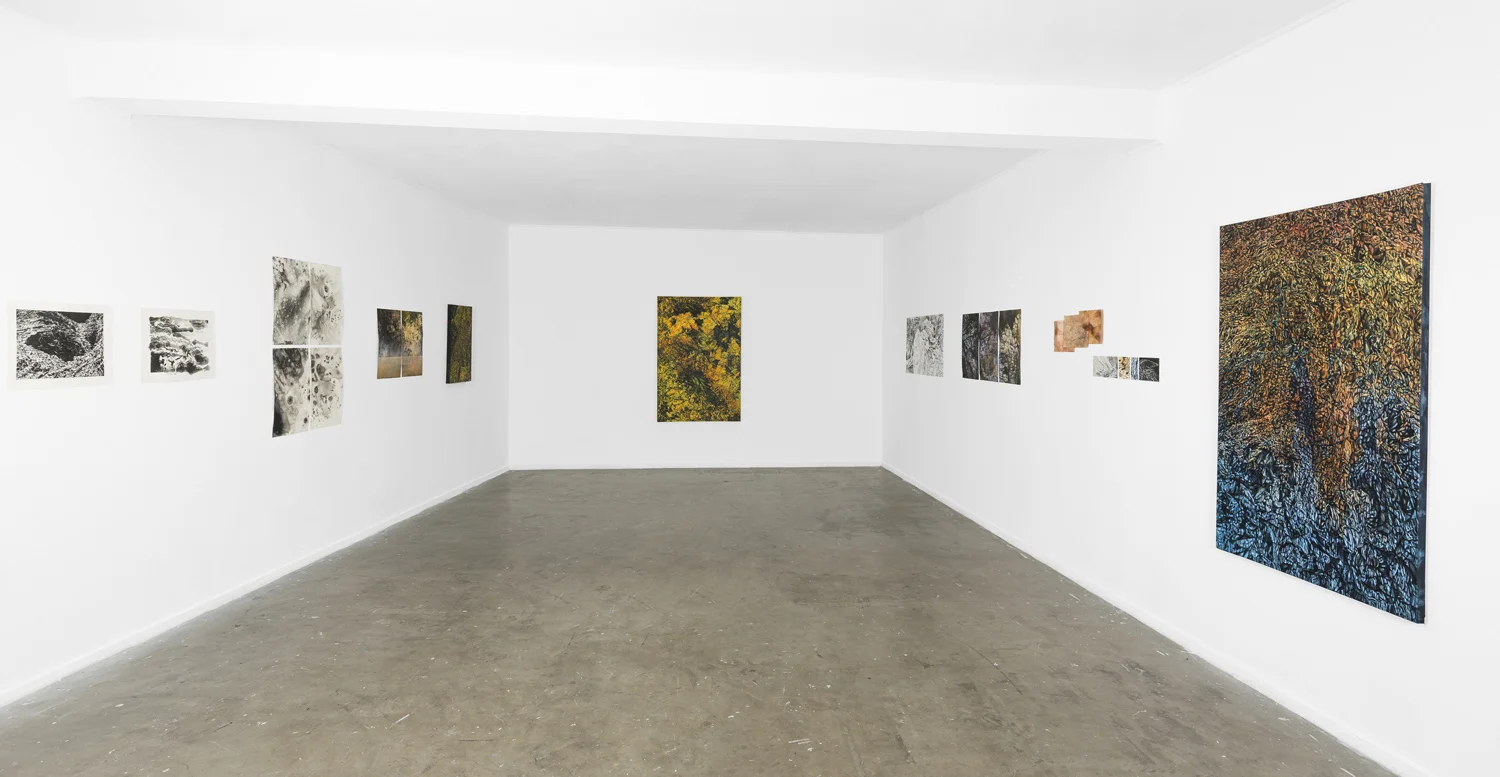 Luminous Earth (install), Canberra Contemporary Art Space Manuka, 2013 (photo by Dean Butters)
