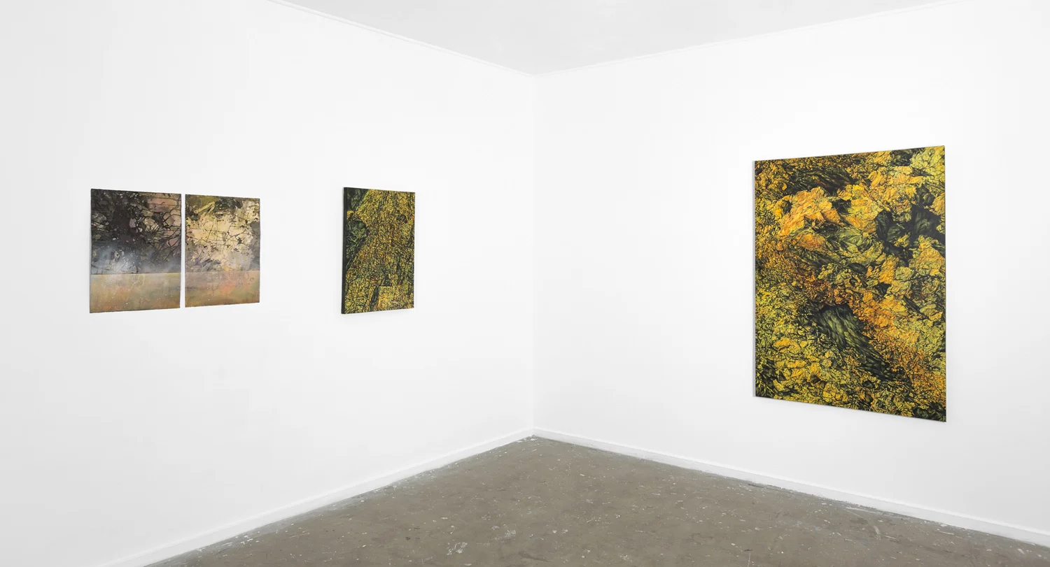 Luminous Earth (install), Canberra Contemporary Art Space Manuka, 2013 (photo by Dean Butters)