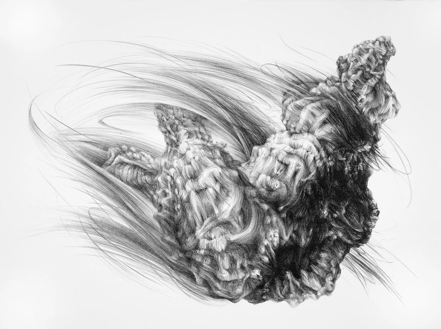 Gape, lithograph, 56 x 76 cm, edition of 5, 2010