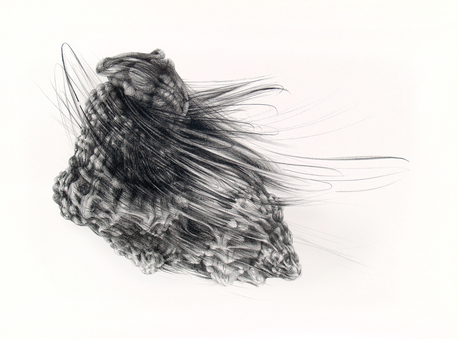 Twist, lithograph, 56 x 76 cm, edition of 5, 2010.