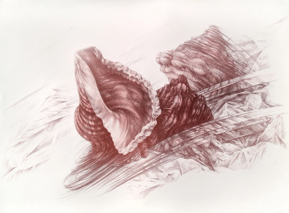 Drift, lithograph, 56 x 76 cm, edition of 8, 2011.