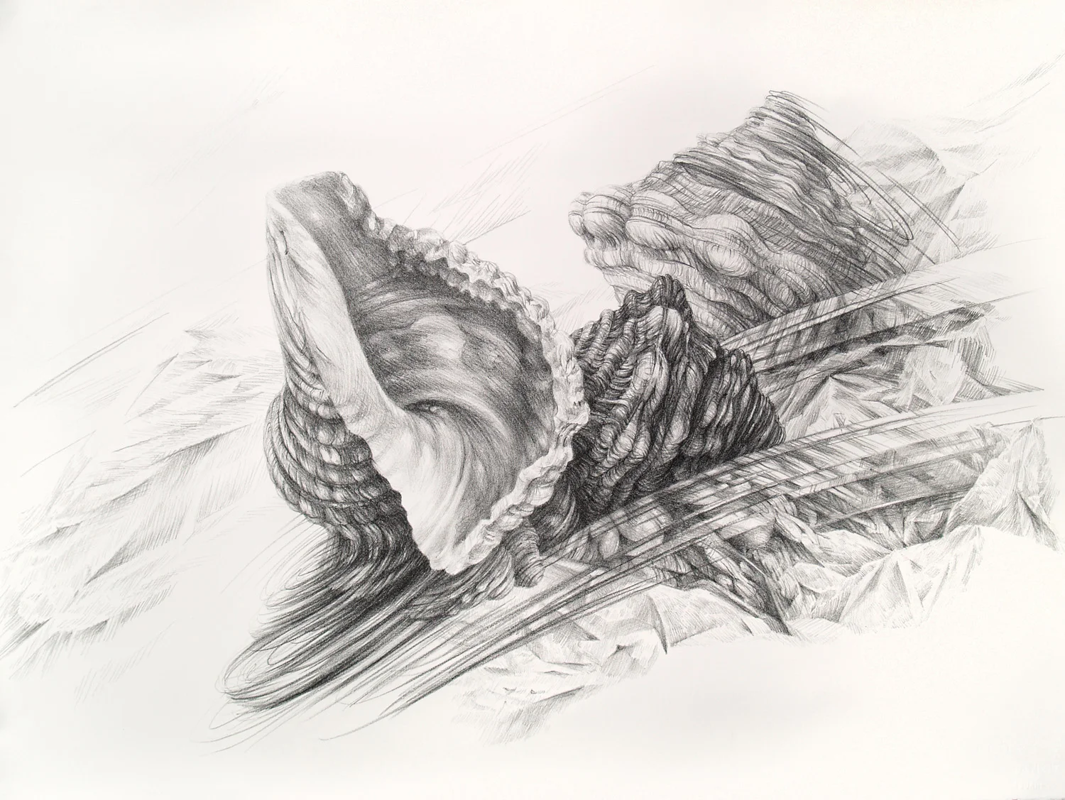 Drift II, lithograph, 56 x 76 cm, edition of 5, 2011.