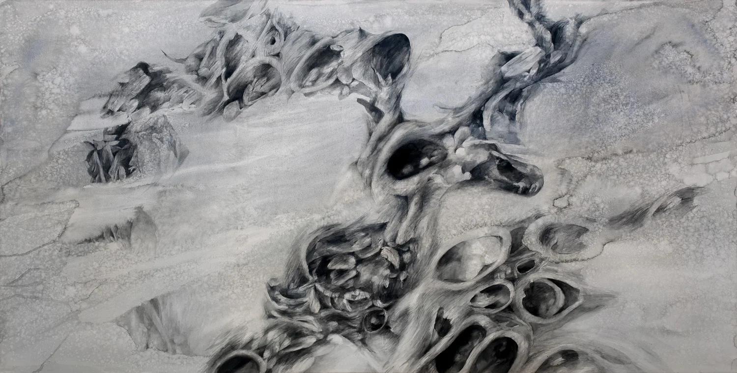 Abalone, watercolour on stretched paper, 106 x 210 cm. 2010