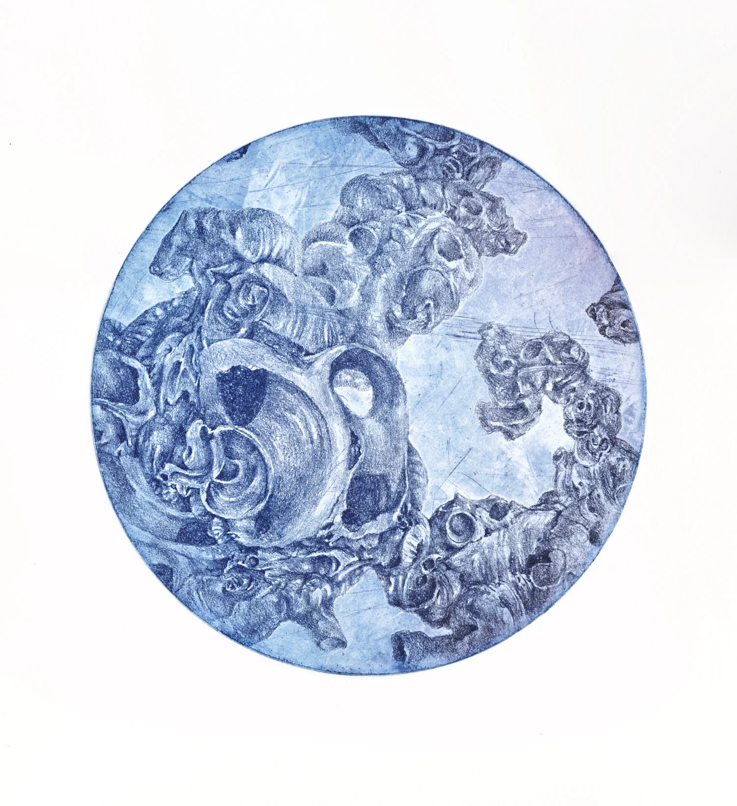 Microcosmos, etching, 20 cm diameter (image), 38 x 28 cm (paper), A.P., 2010