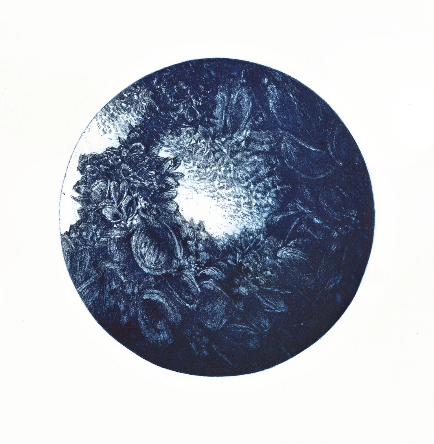Microcosmos, etching, 20 cm diameter (image), 38 x 28 cm (paper), A.P., 2010