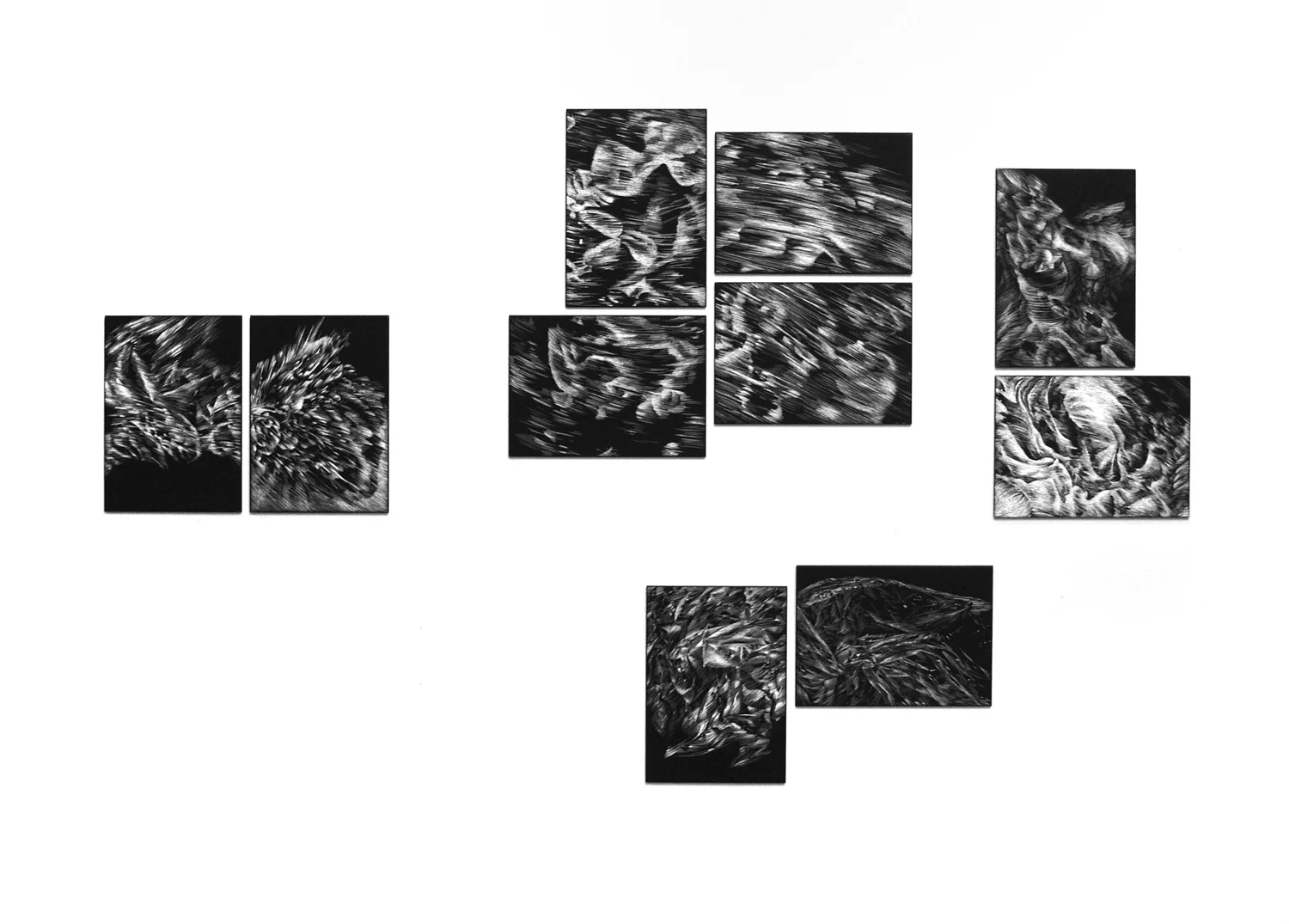 clockwise from left: Rush (2 panels), Alum (2 panels), Skeleton (2 panels), Terrain (2 panels), installation view, scratchboard, 2011.