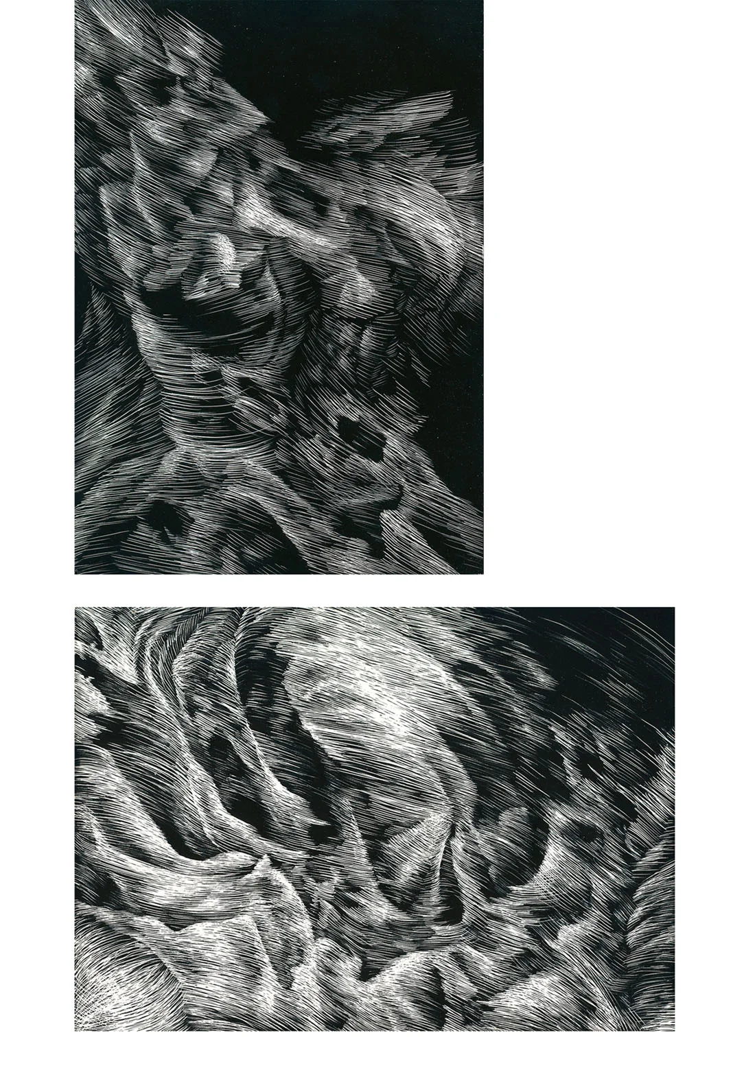 Skeleton, scratchboard, 2 panels (13cm x 17.5cm each), 2011