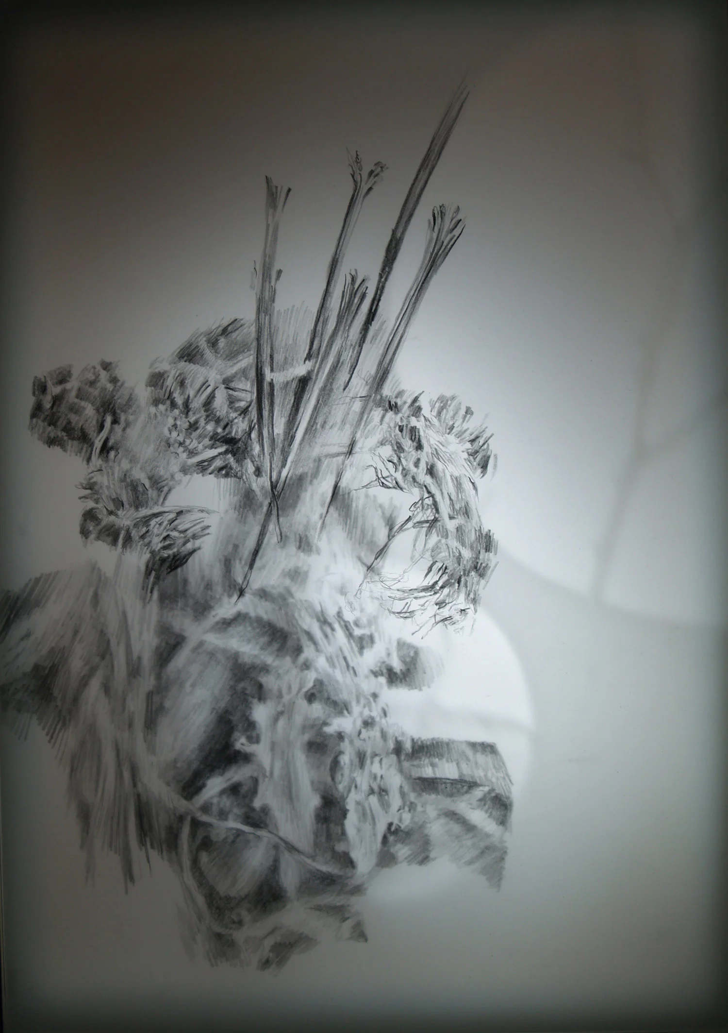 Echoes (top view, detail), graphite on drafting film, perspex, MDF, low voltage light, 30 x 21 x 81 cm