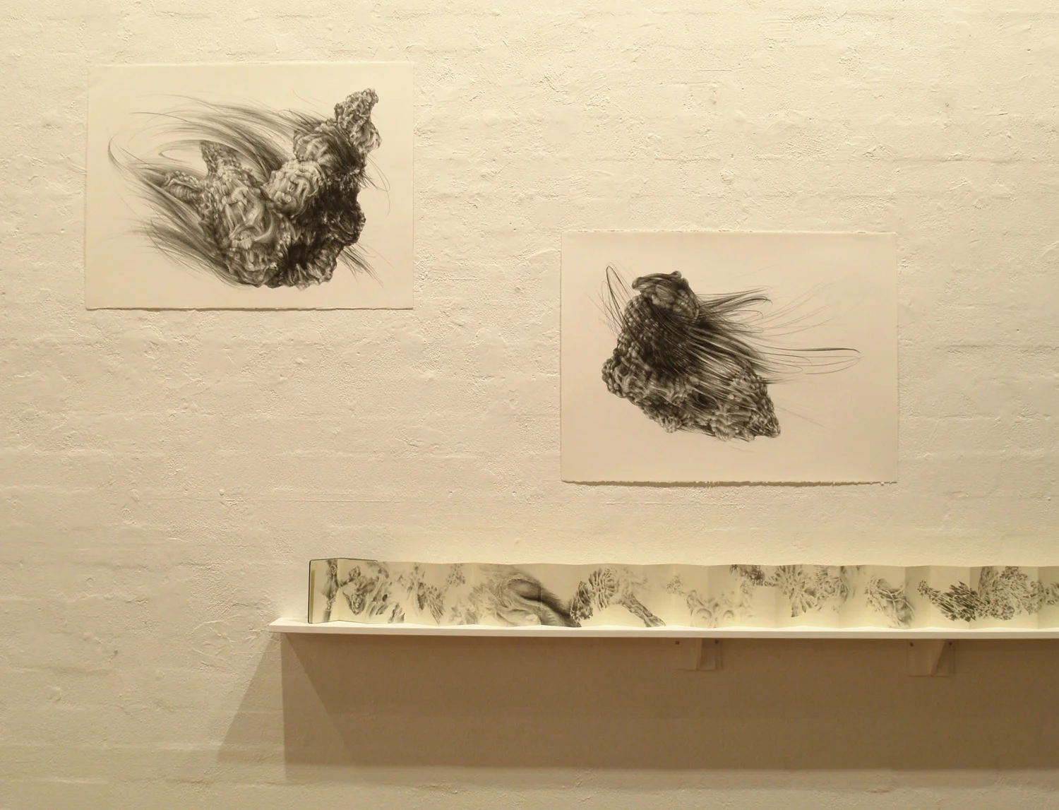 Microcosmos, A.N.U School of Art Gallery, 2010