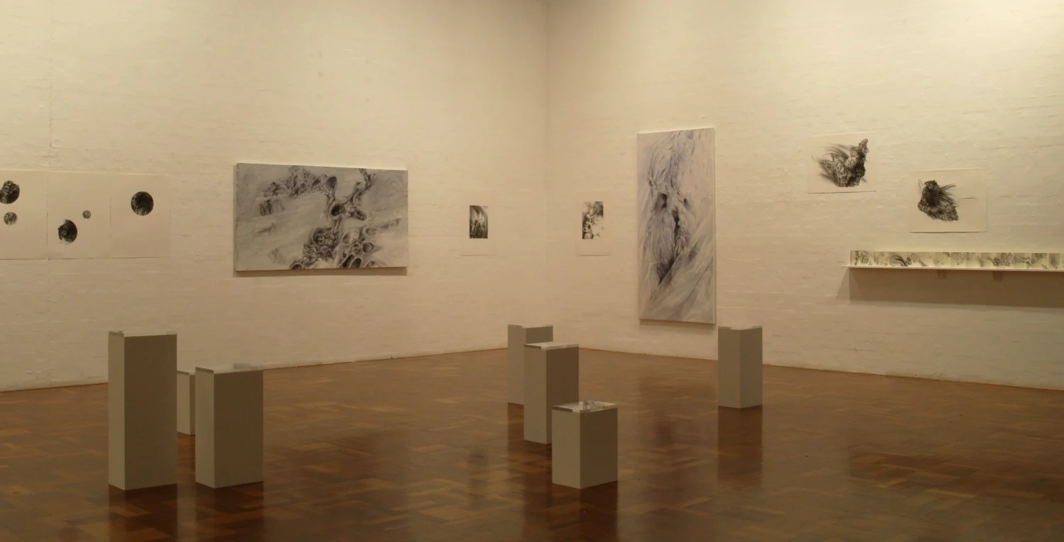 Microcosmos, A.N.U School of Art Gallery, 2010