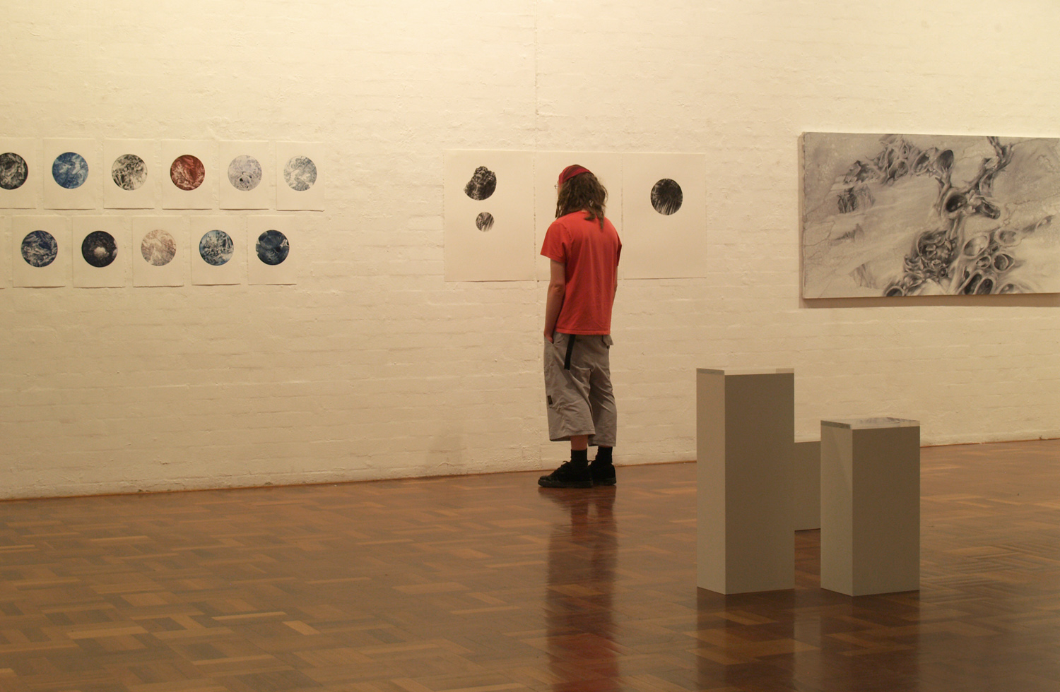 Microcosmos, A.N.U School of Art Gallery, 2010