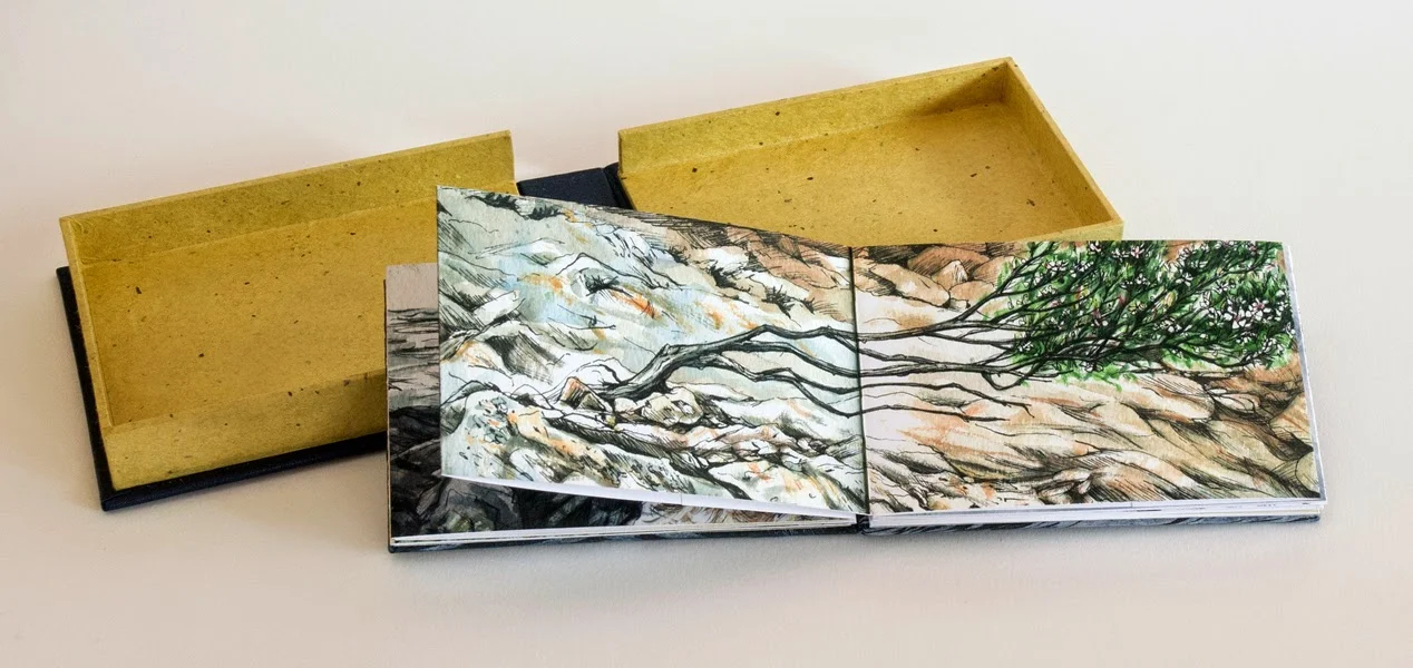72-6-romeyn-thunder-rush-rapid-2015-concertina-book-with-clamshell-box-(digital-print-with-archival-pigment-inks-cover-features-hand-printed-woodcut)-12x16x3cm(dimensions-of-box).jpg
