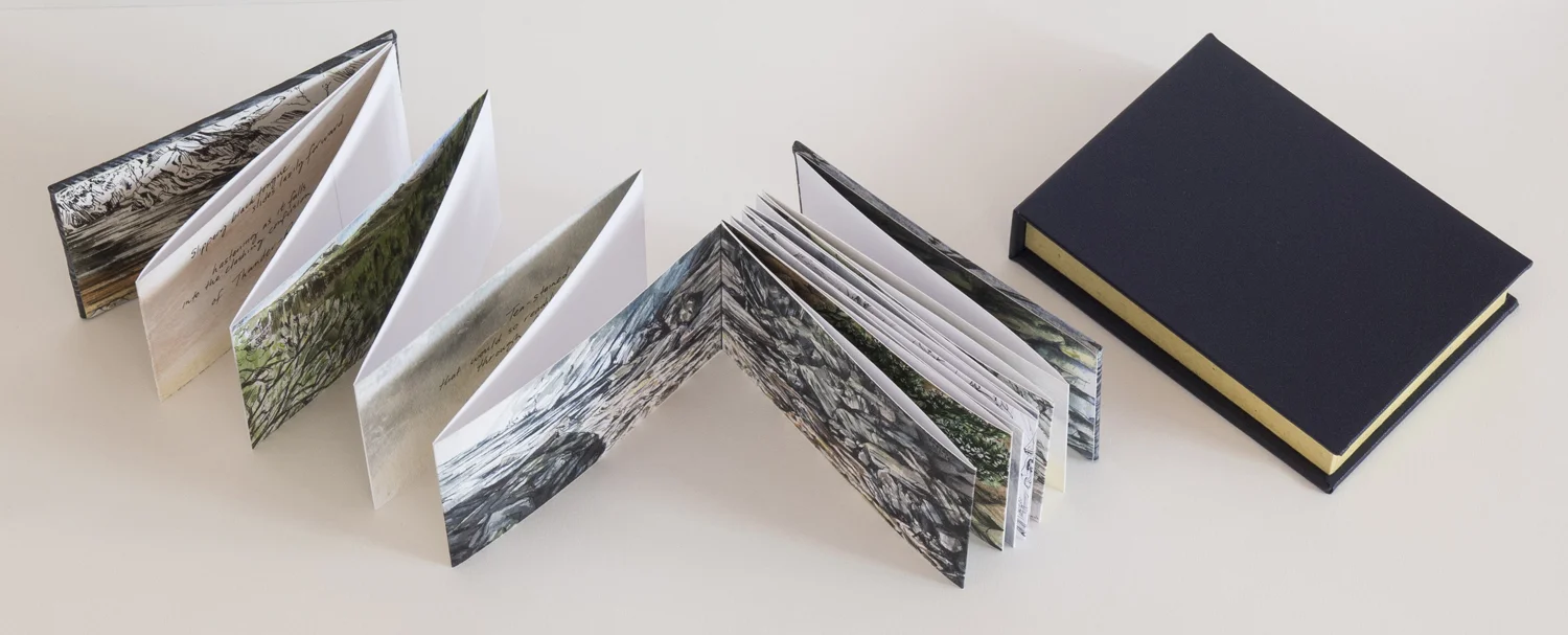 15.image3-romeyn-thunder-rush-rapid-2015-concertina-book-with-clamshell-box-(digital-print-with-archival-pigment-inks-cover-features-hand-printed-woodcut)-12x16x3cm(dimensions-of-box).jpg