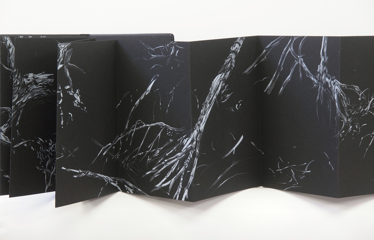 web-romeyn-2015-fallen-sentinels4-pencil-in-concertina-book-21x221cm.jpg