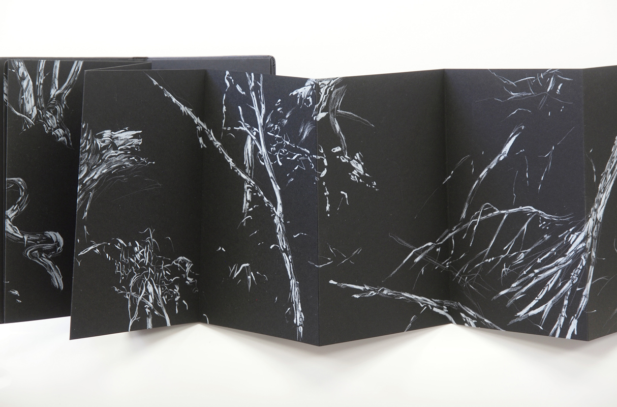 web-romeyn-2015-fallen-sentinels3-pencil-in-concertina-book-21x221cm.jpg