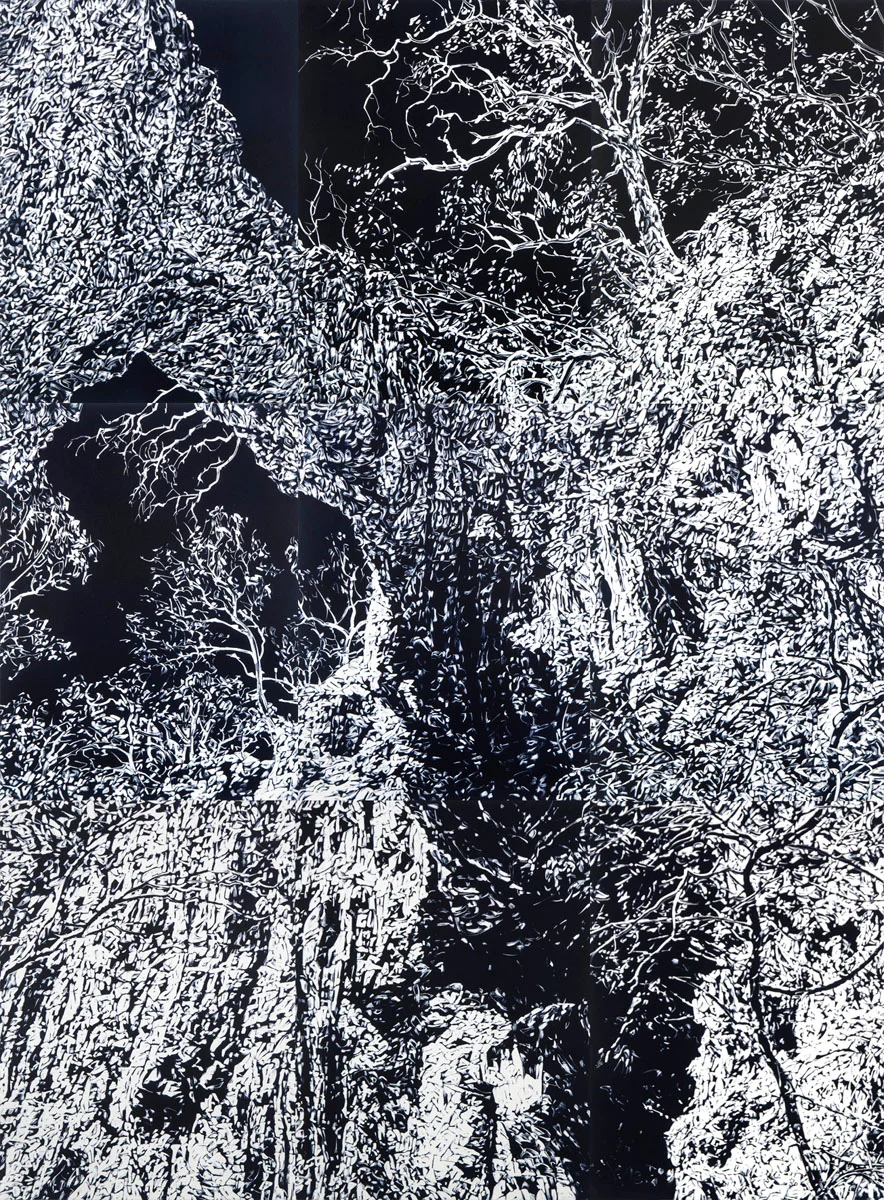 Chasm 3, 2017, monotype on paper, 228cm x 168cm