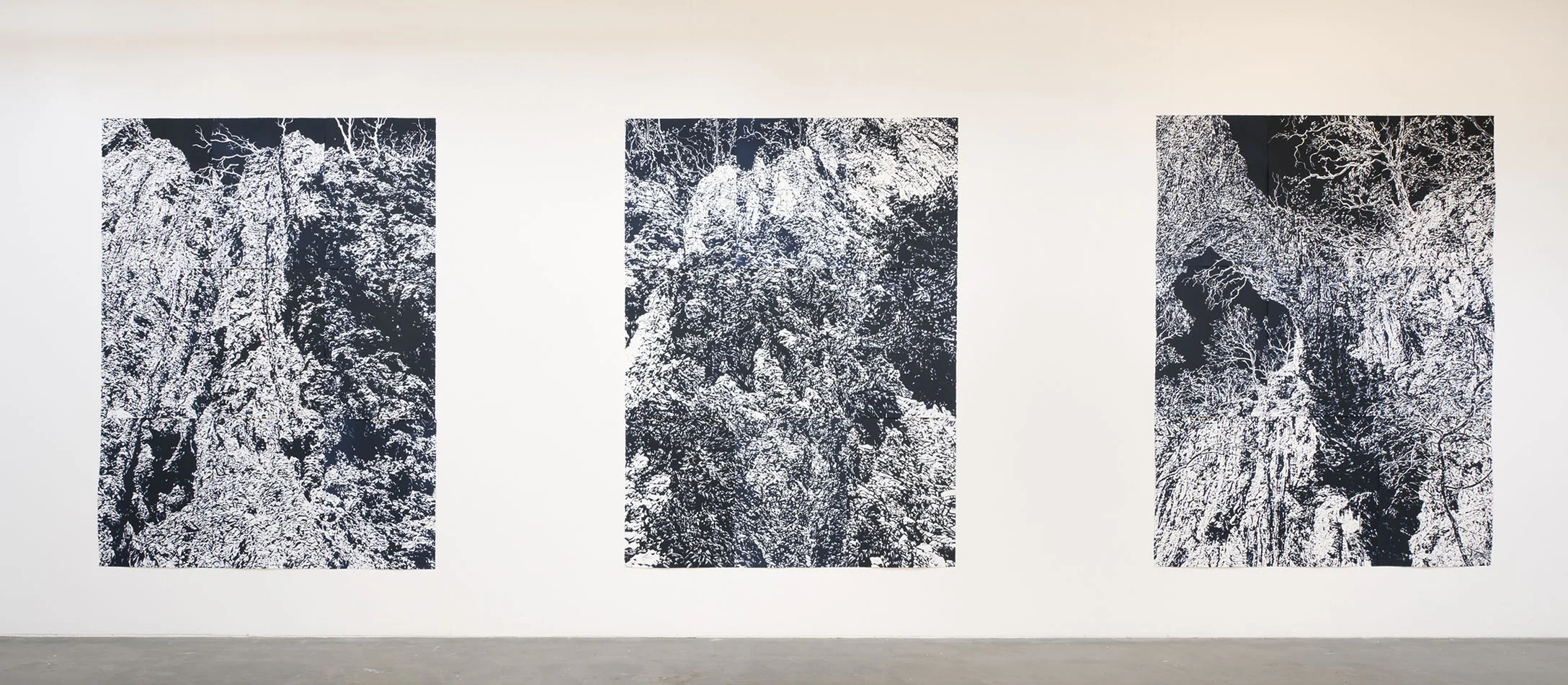''Chasm' series in 'Precipice' solo exhibition, ANCA Gallery, Canberra
