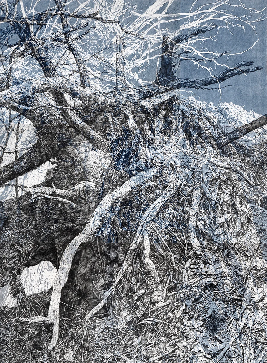 Ghost IV , 2018, pencil and monotype on paper, 228cmx168cm