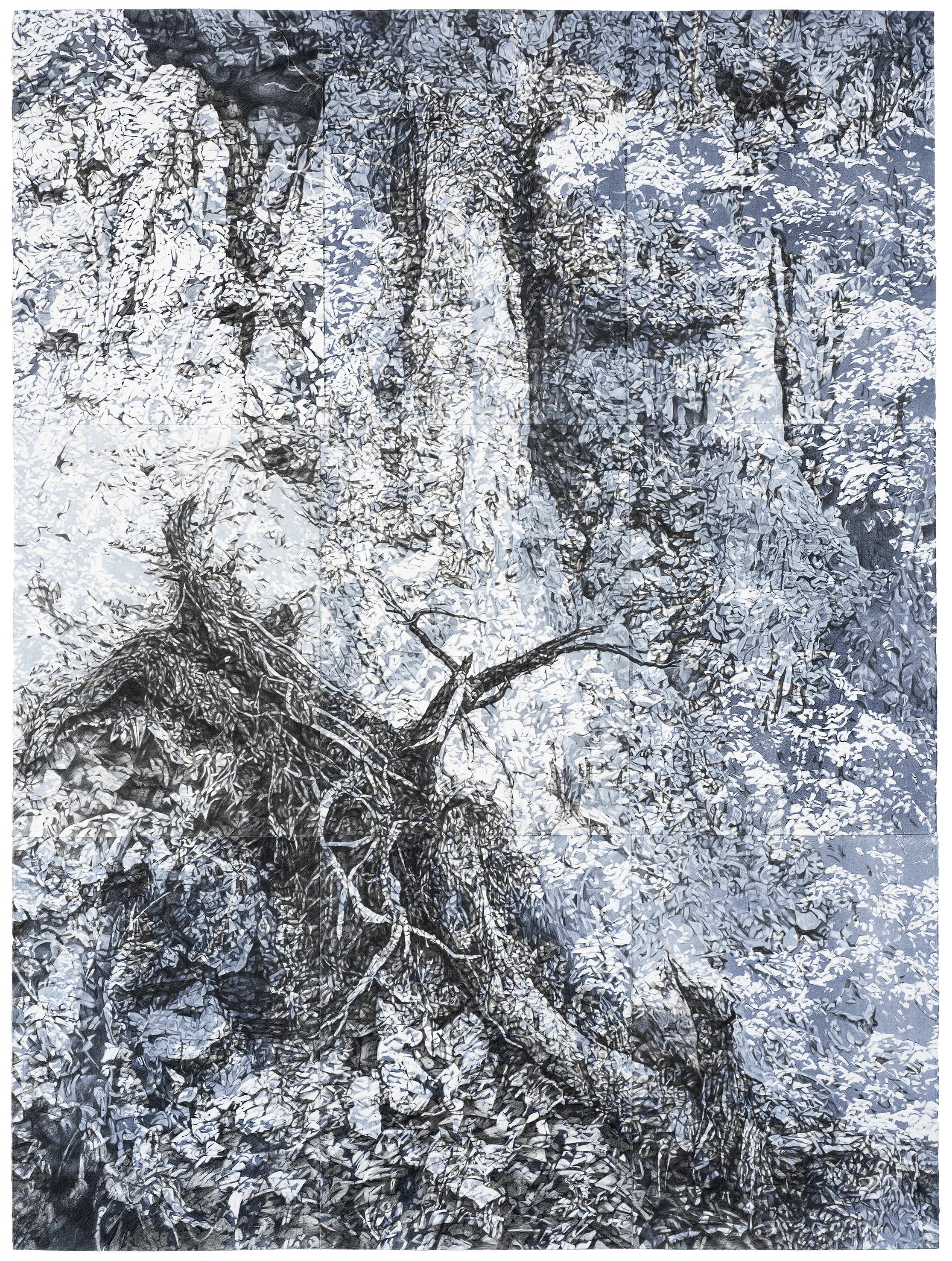 Ghost 2, 2017, pencil and monotype on paper, 228cm x 168cm