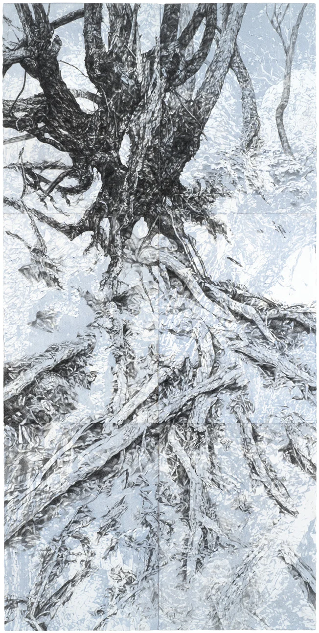 Ghost V, 2018, pencil and monotype on paper, 228cm x 112cm (photo by Brenton McGeachie)
